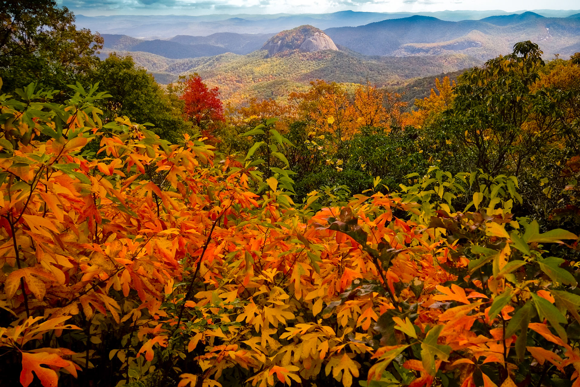 BRP above Brevard, NC