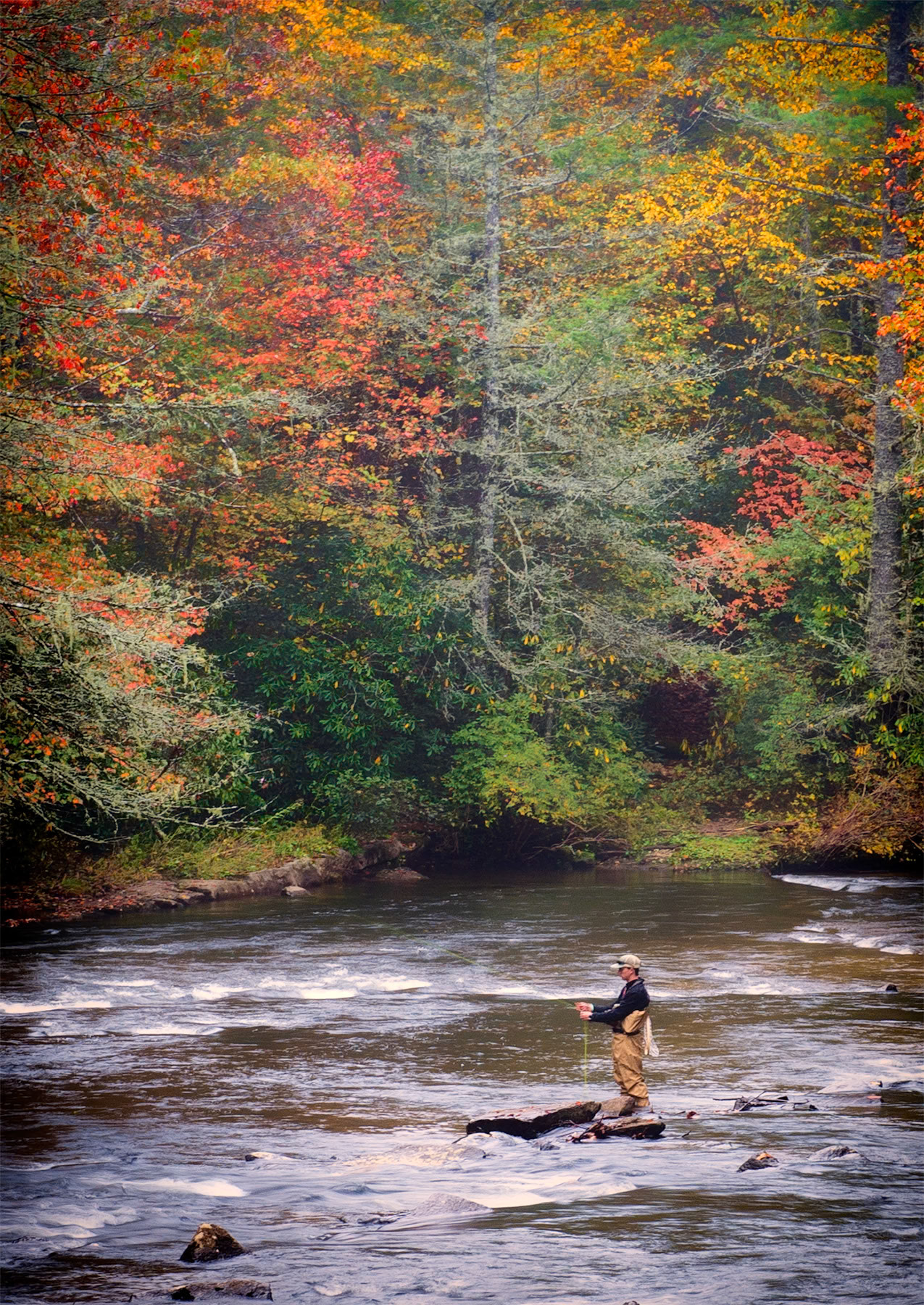 Fishing on Little River in the DuPont State Forest
