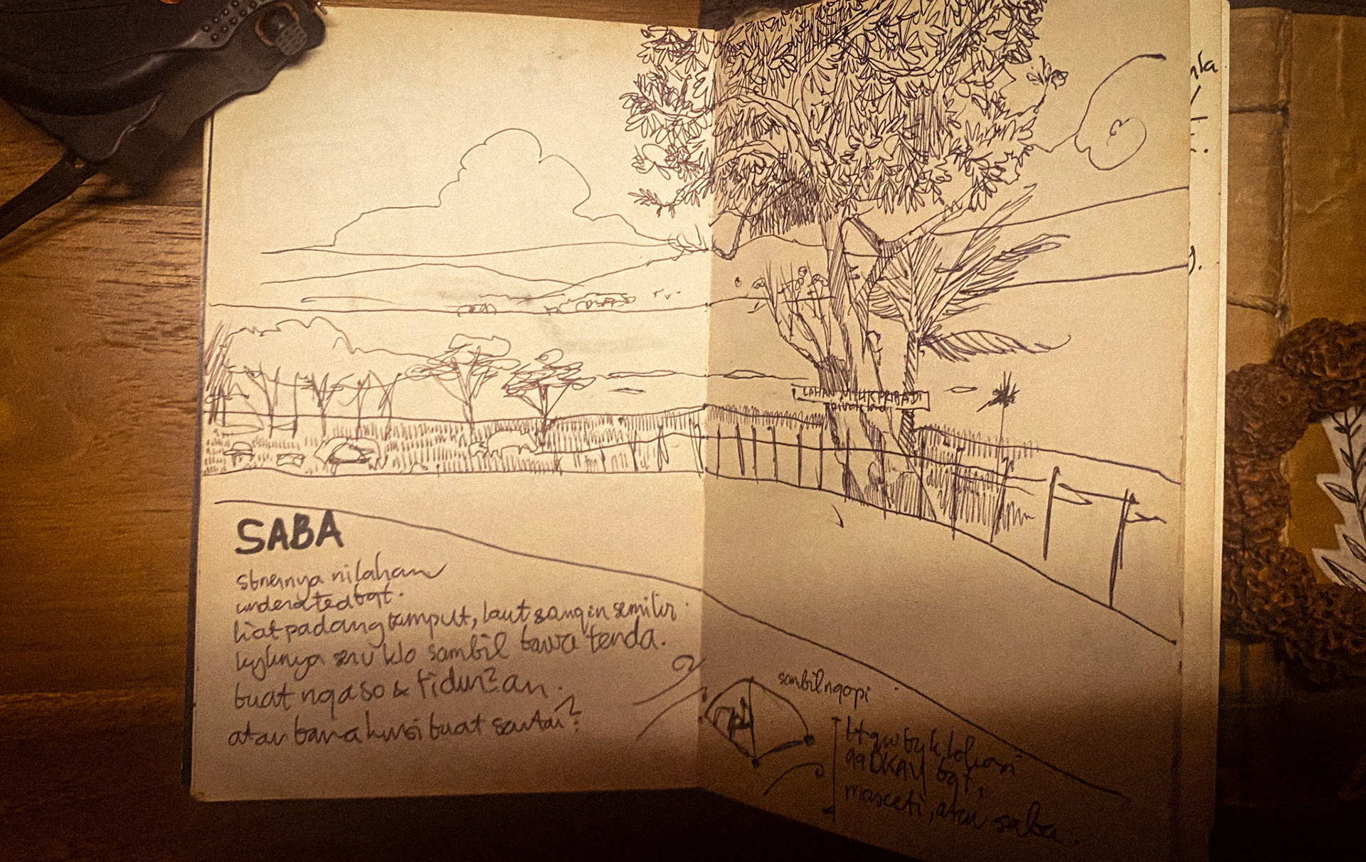 SABA Beach - when it was just a grass field