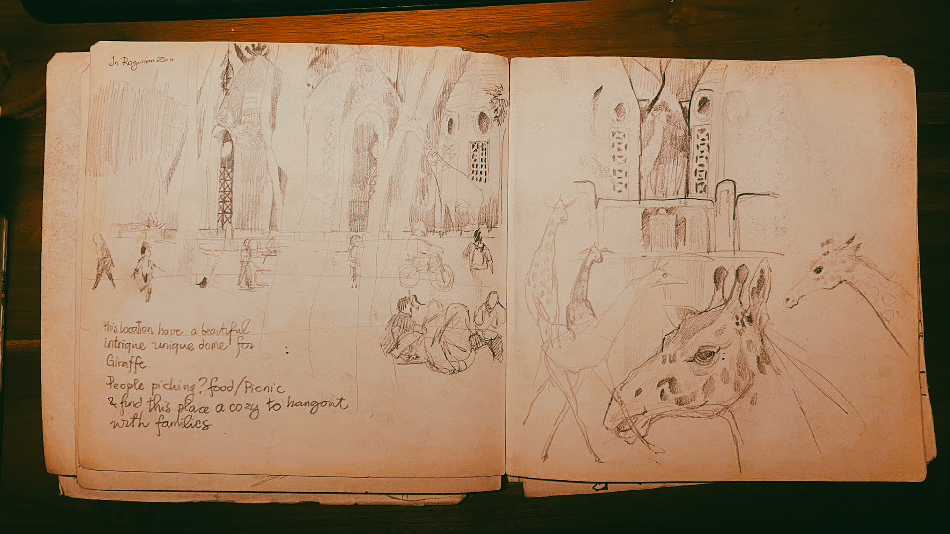 Ragunan with Giraffe