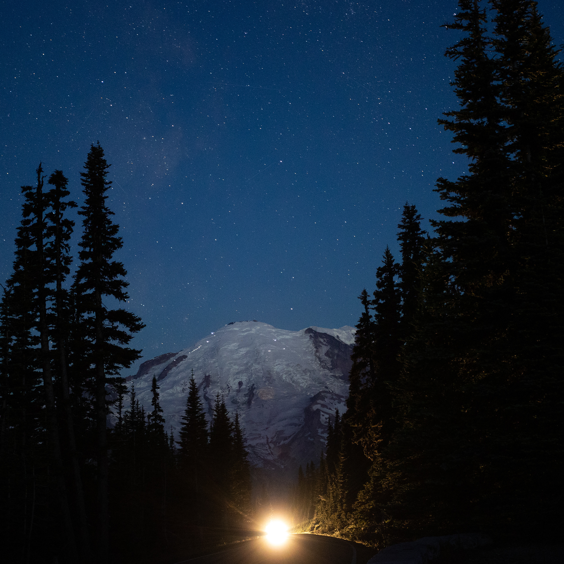 Mt. Rainier