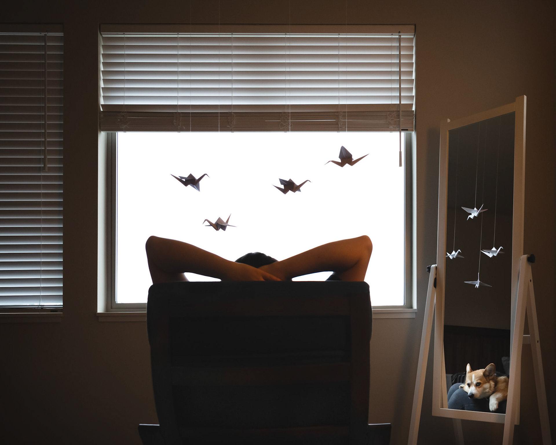 Waiting for the geese