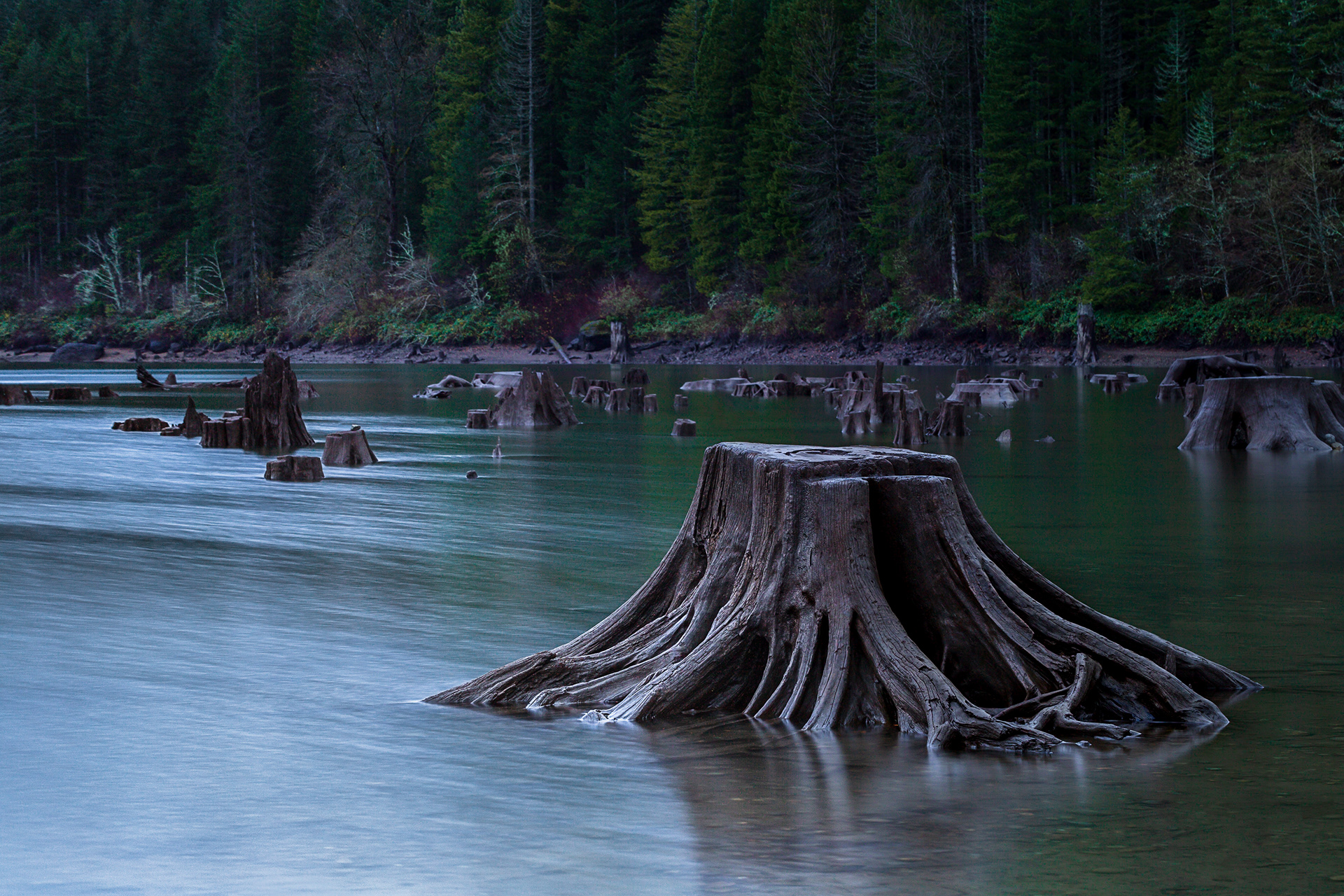 Rattlesnake Lake