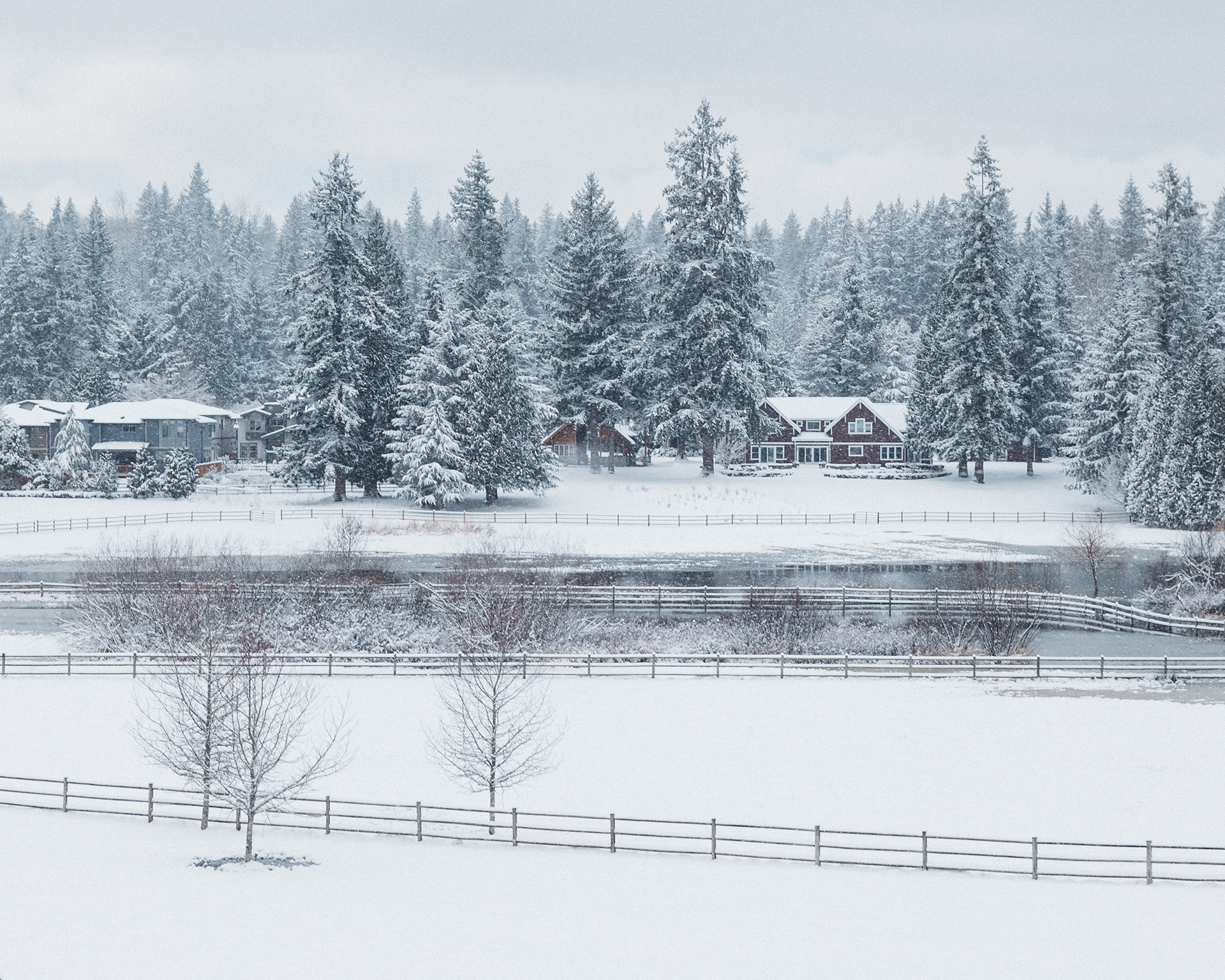 Winter