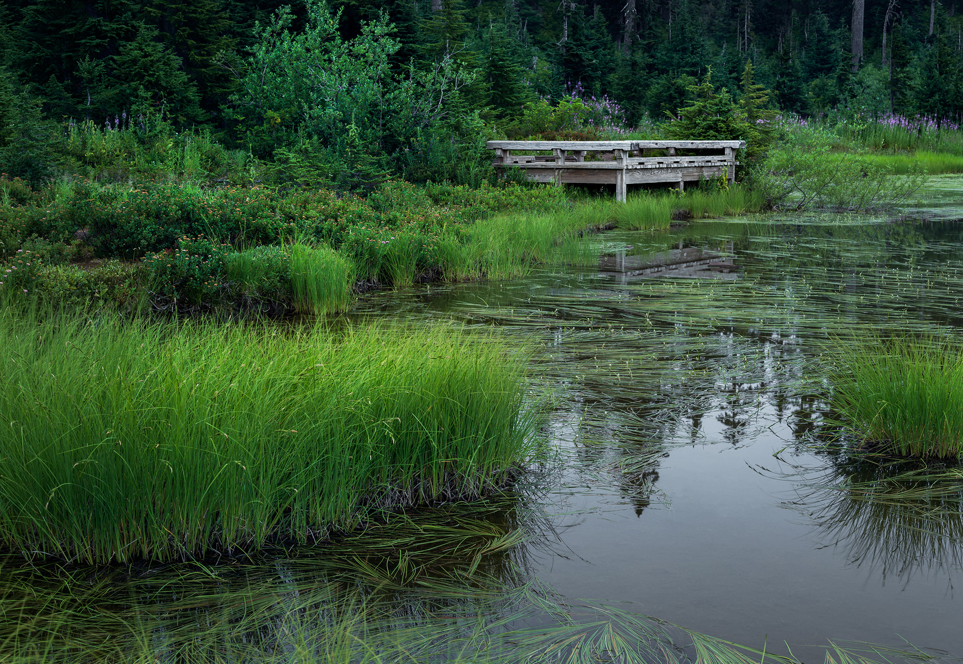 Picture Lake