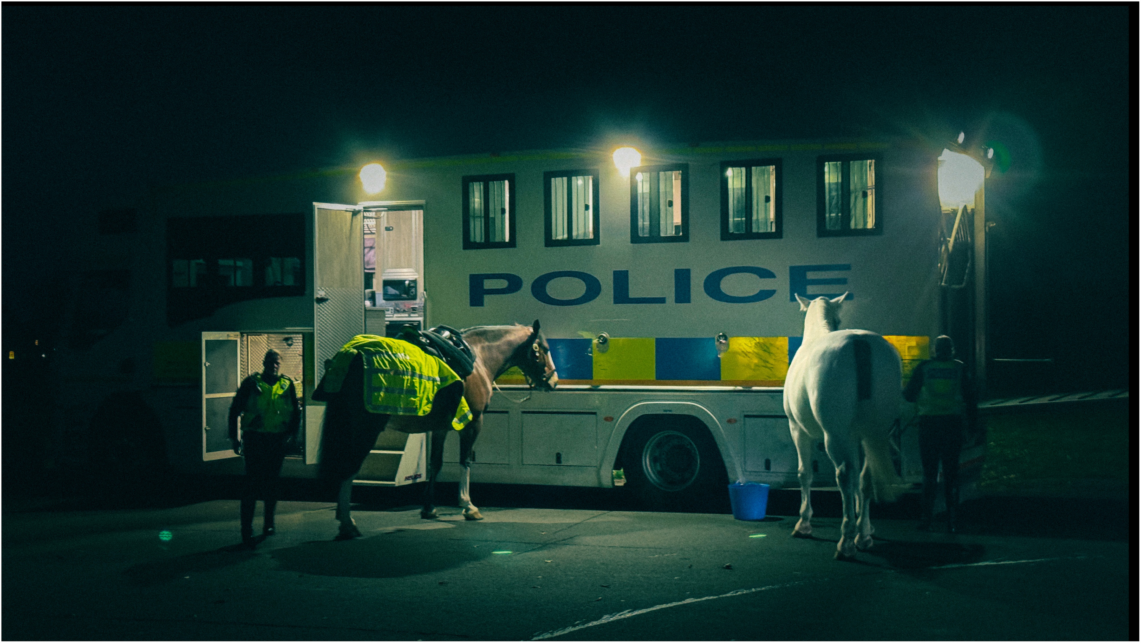 Photo of police horses at night time beside the horse van