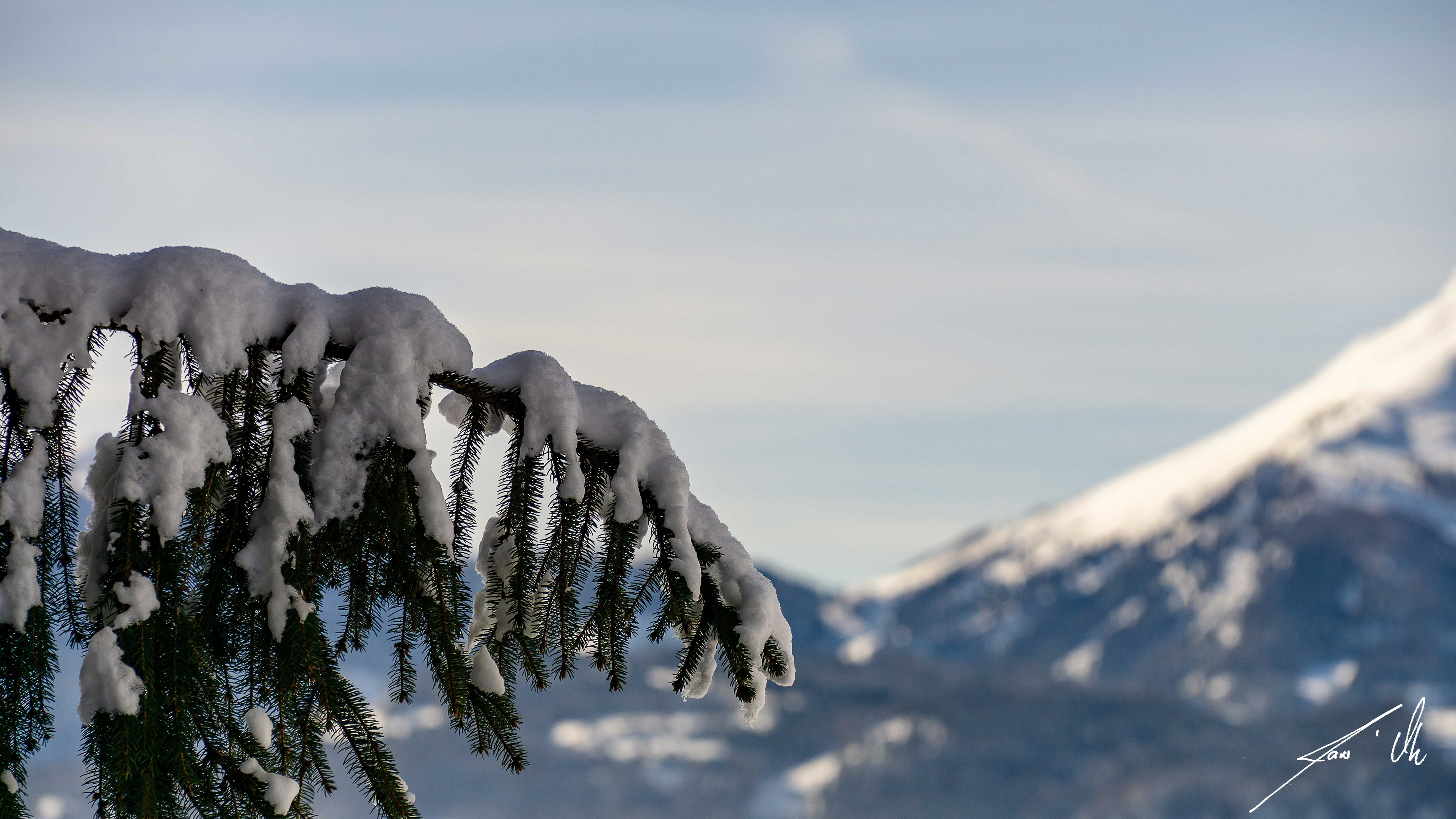 Winterzauber
