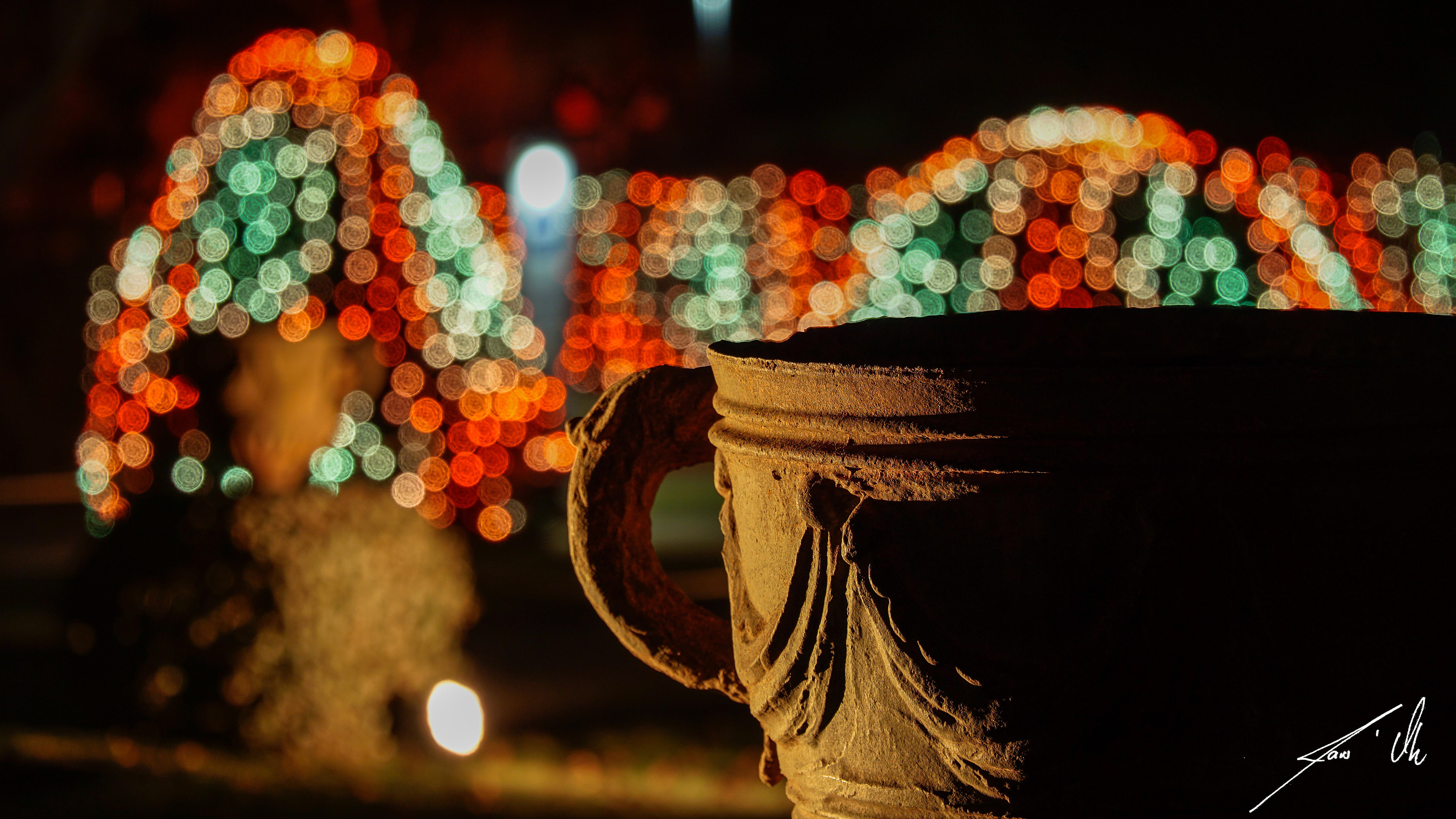 Christmas Garden Berlin