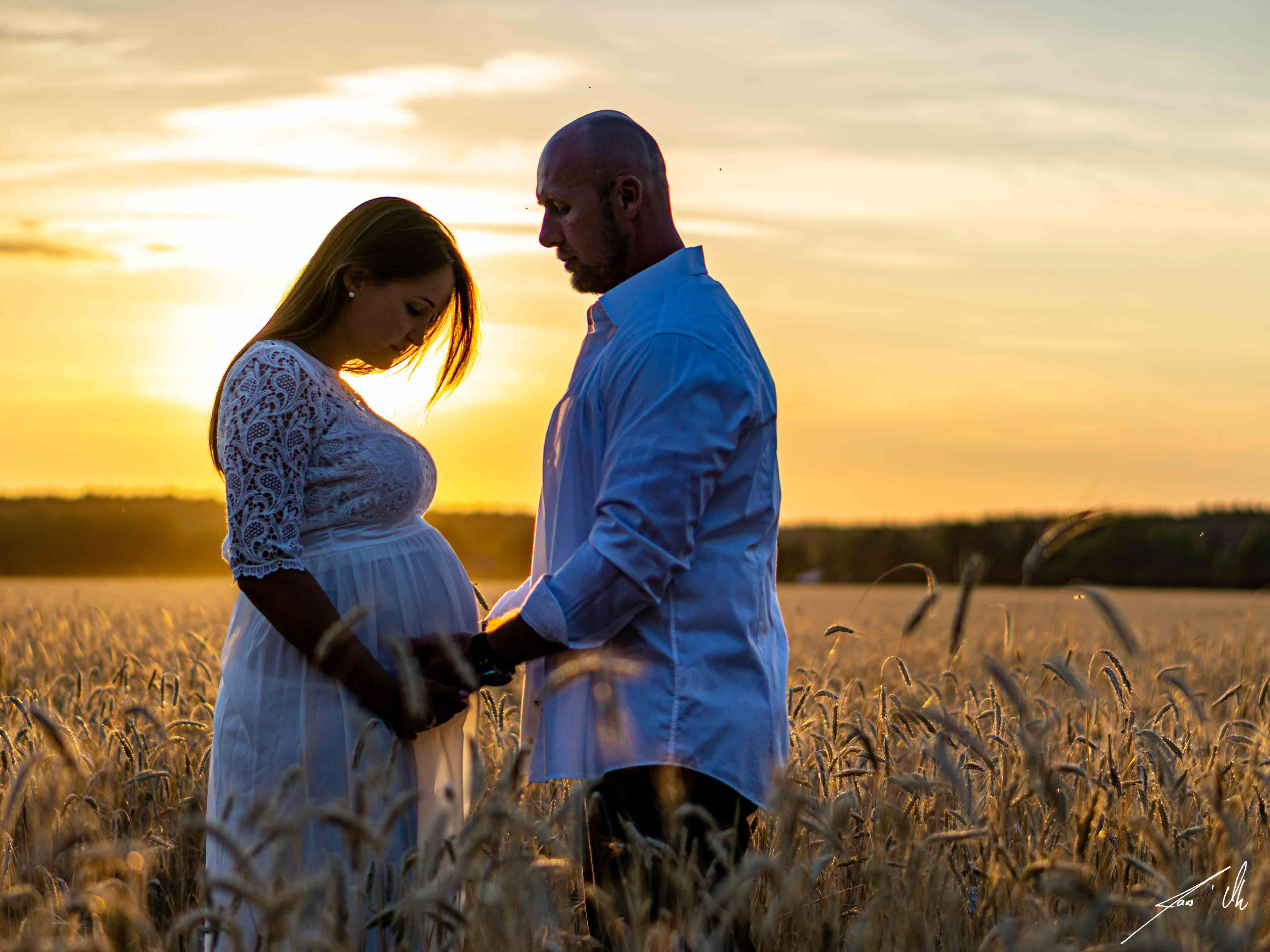 Schwangerschafts-Shooting im Kornfeld
