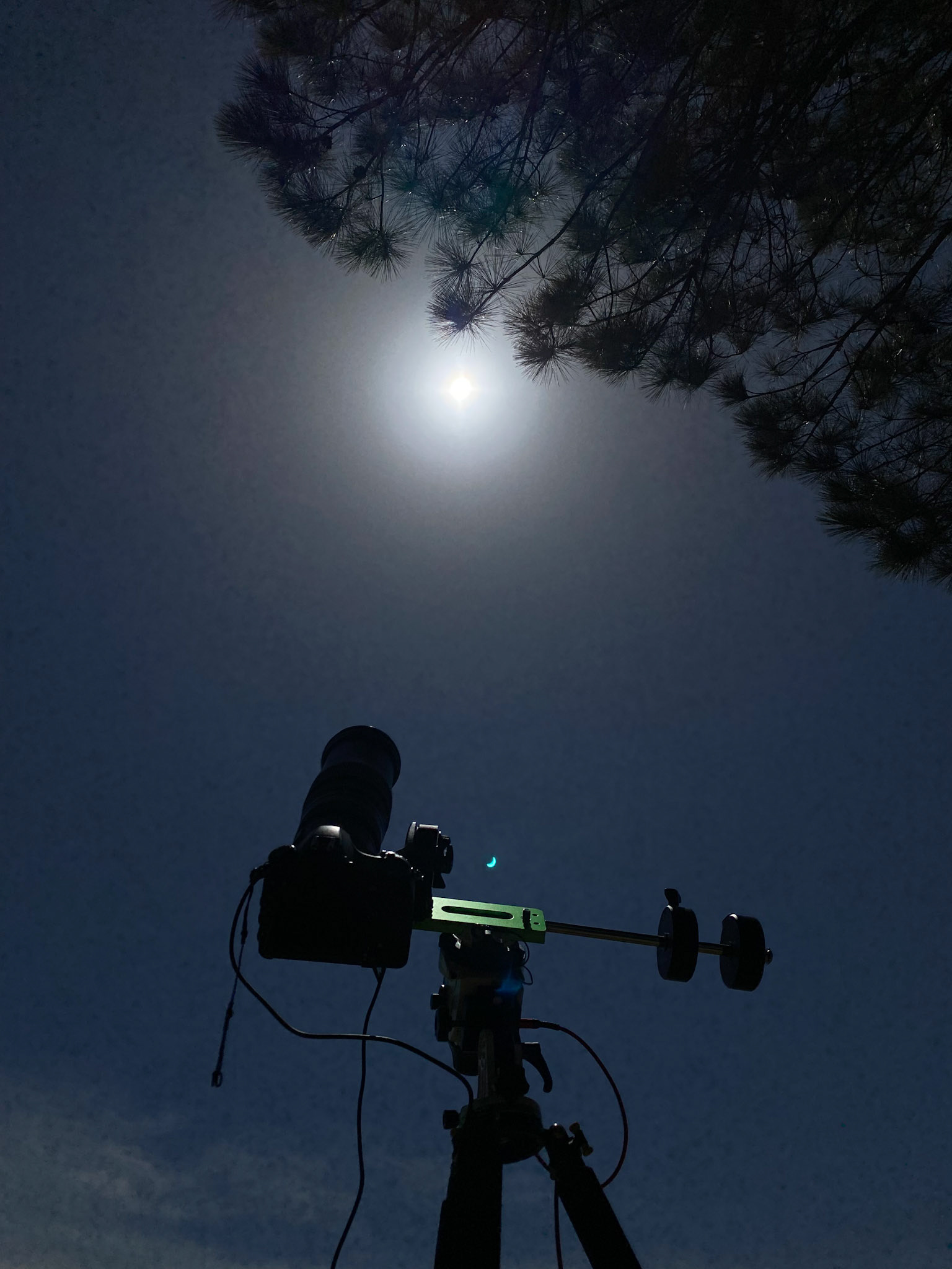 Gear: Nikon D850, 200-500mm, Sky-Watcher (Conway, AR)
