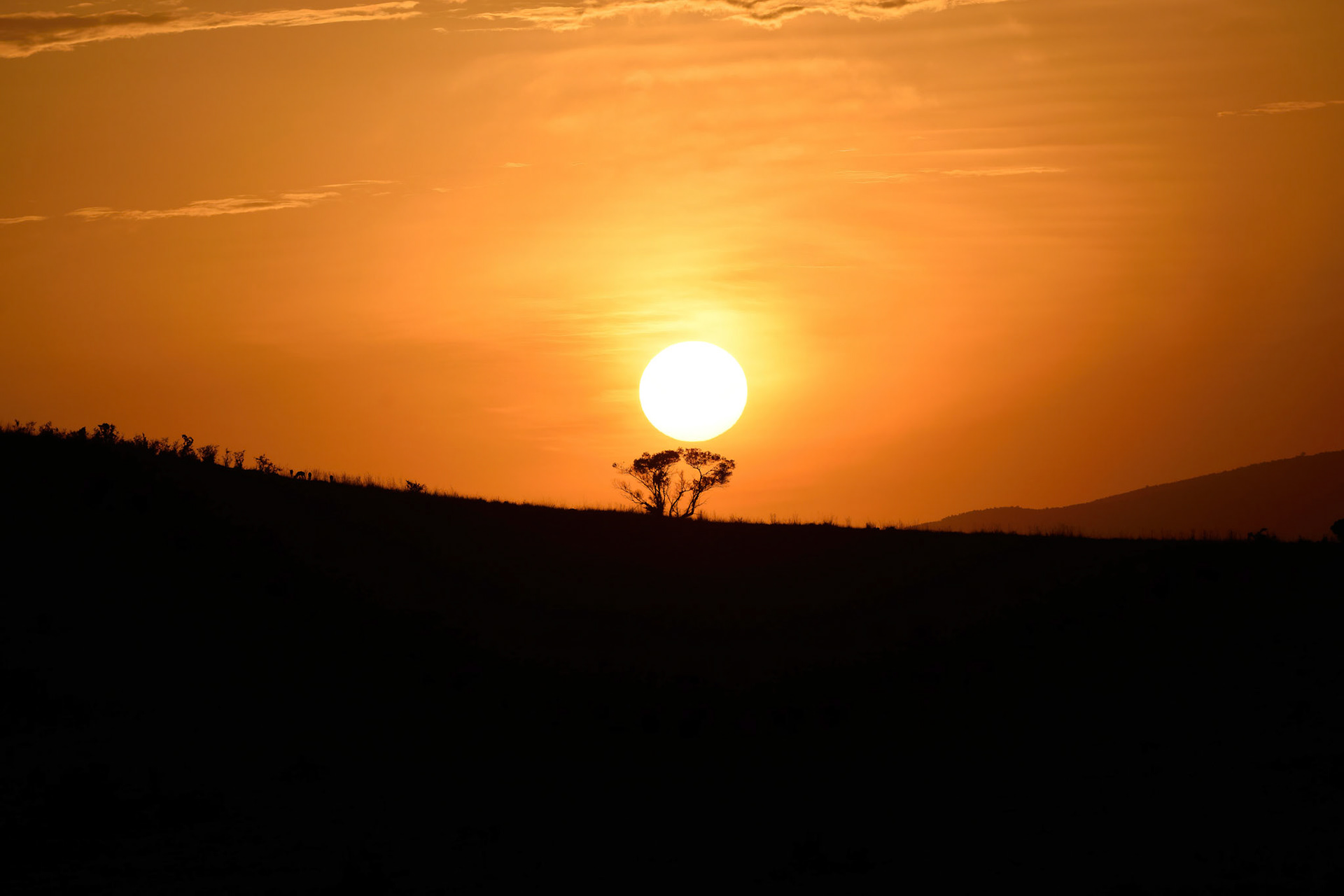 Sunrise (Serengeti, Africa)
