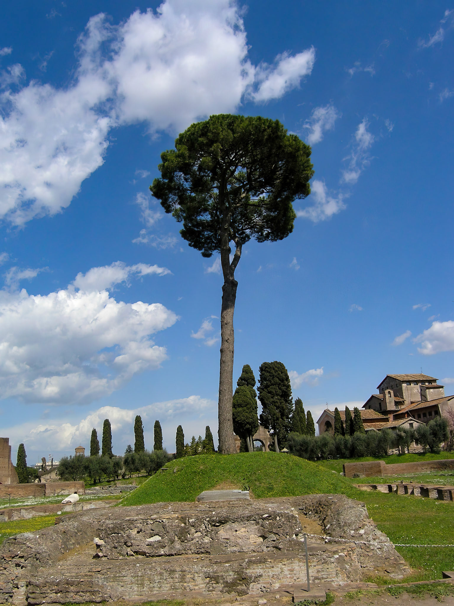 Palatine Hill
