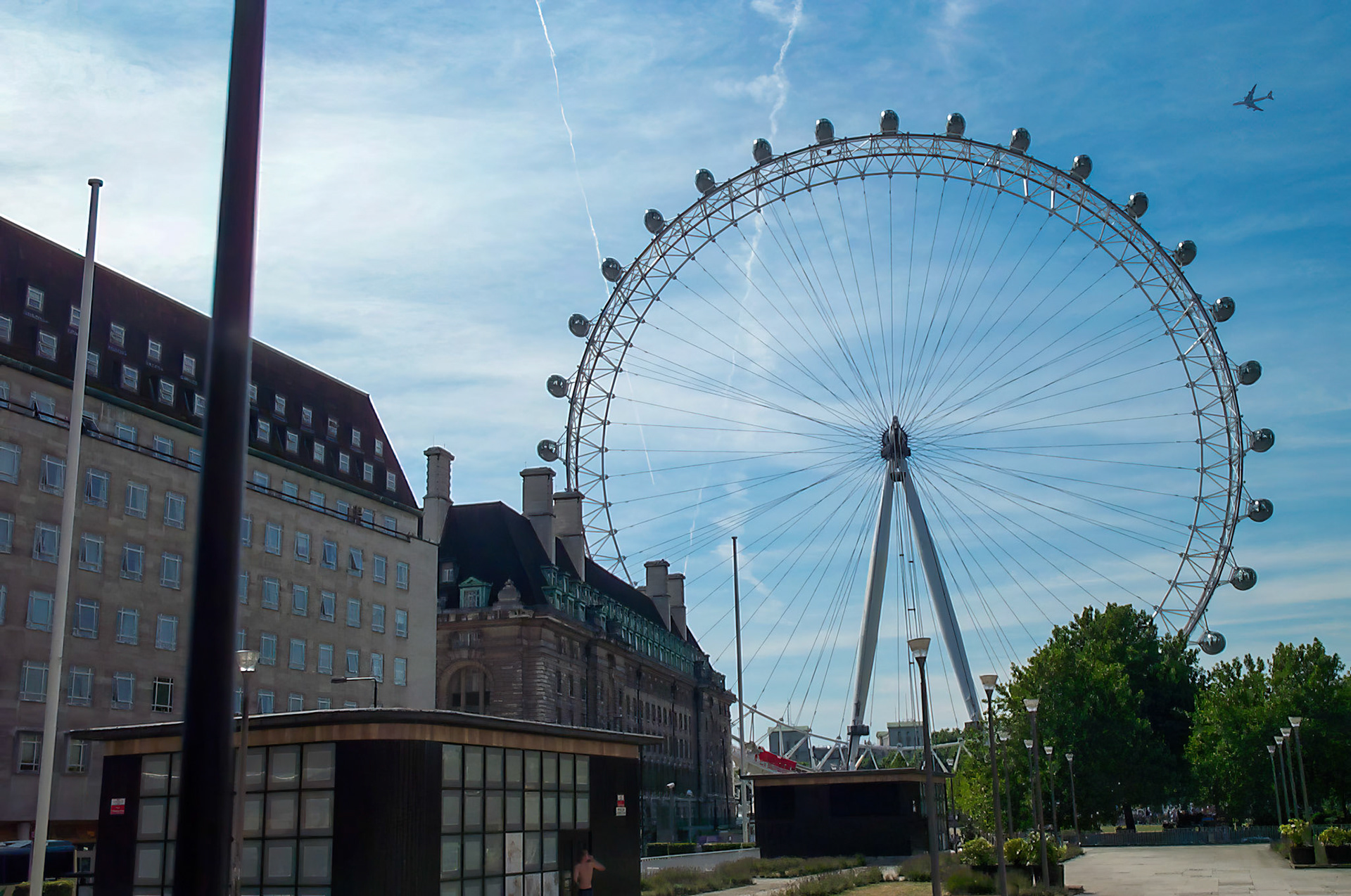 London Eye through Jubilee Gardens