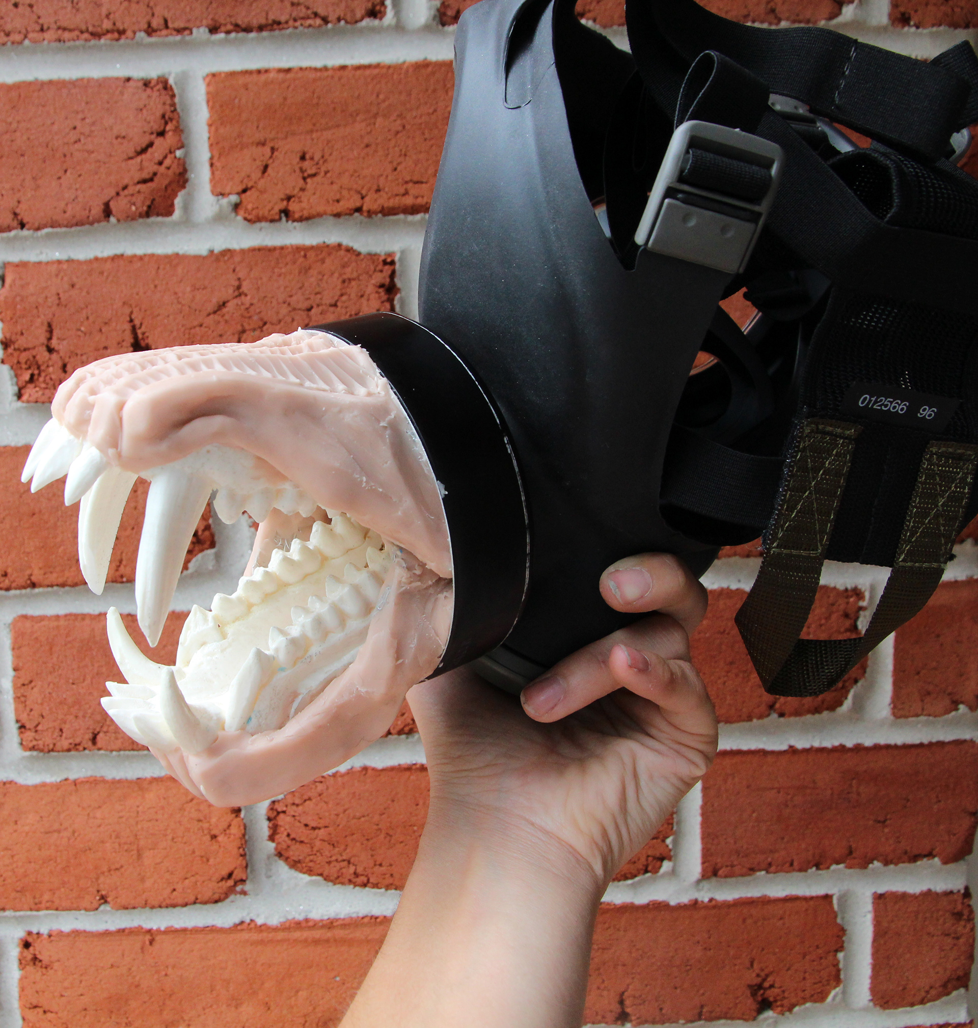 Finished sculpted jaw