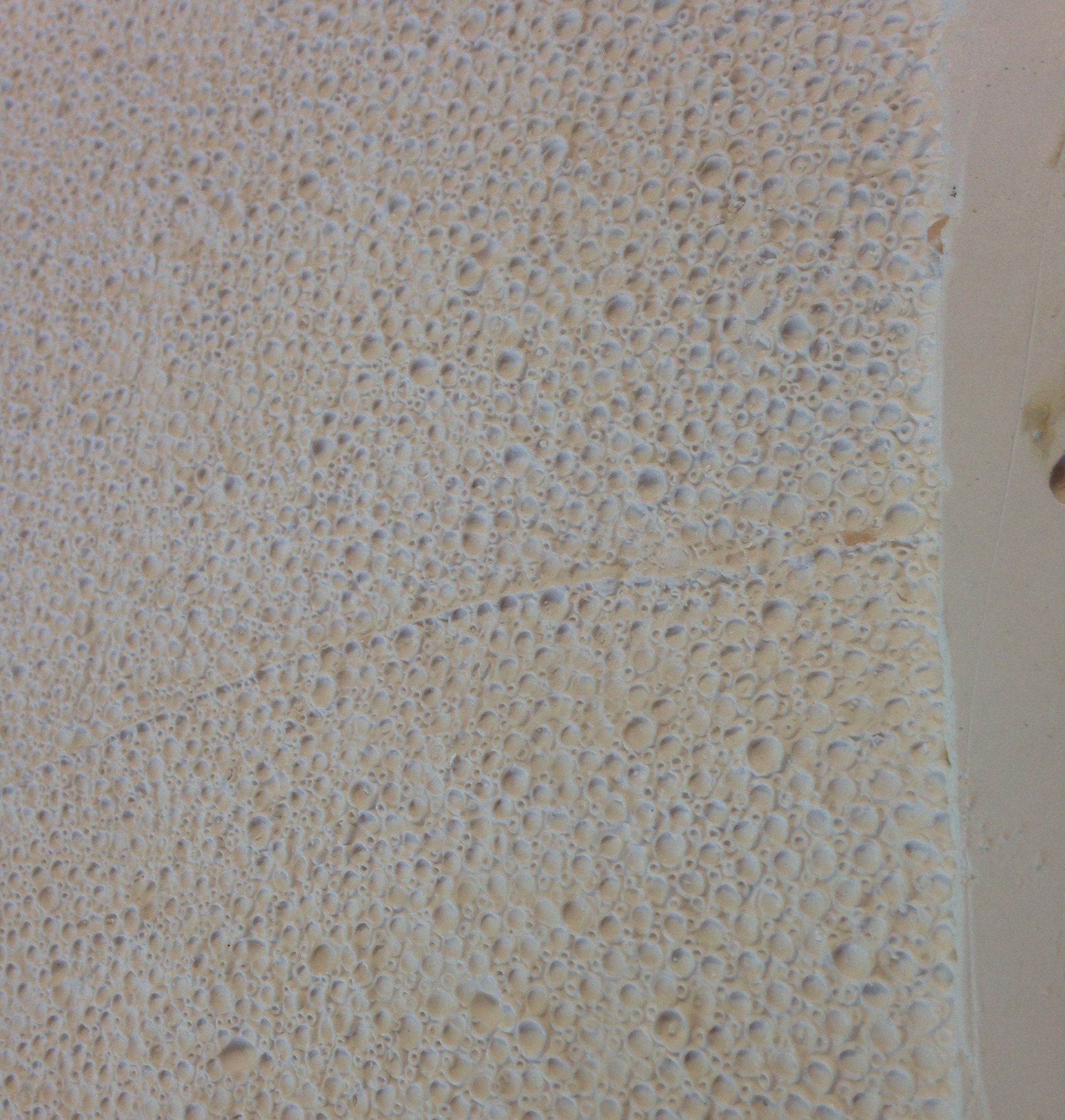 Plaster mold of reptile skin