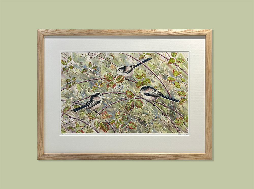 Long Tailed Tits limited edition print framed with Solid Ash moulding, Anti-reflective glass and a light coloured mount