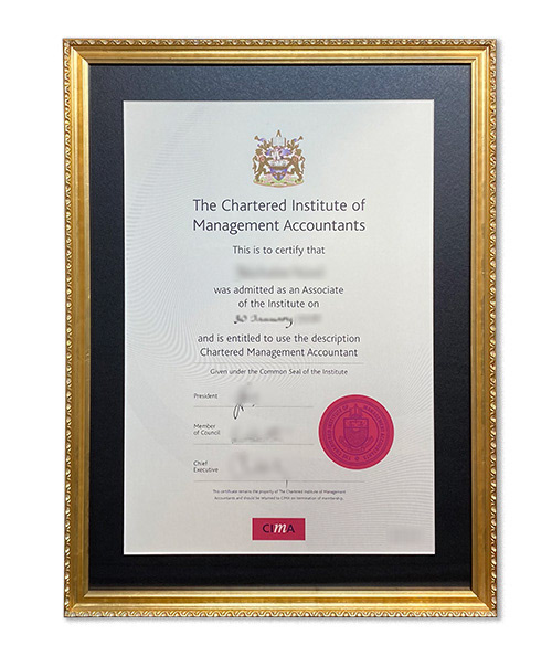 Professional certificate conservation framed in gold frame