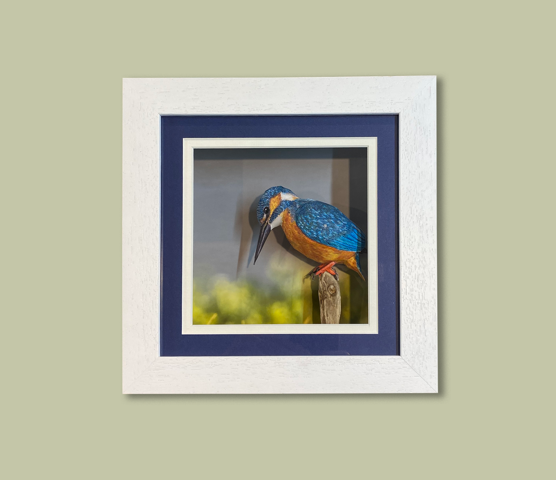 Box Mounted Paper Kingfisher, Deep Box Frame