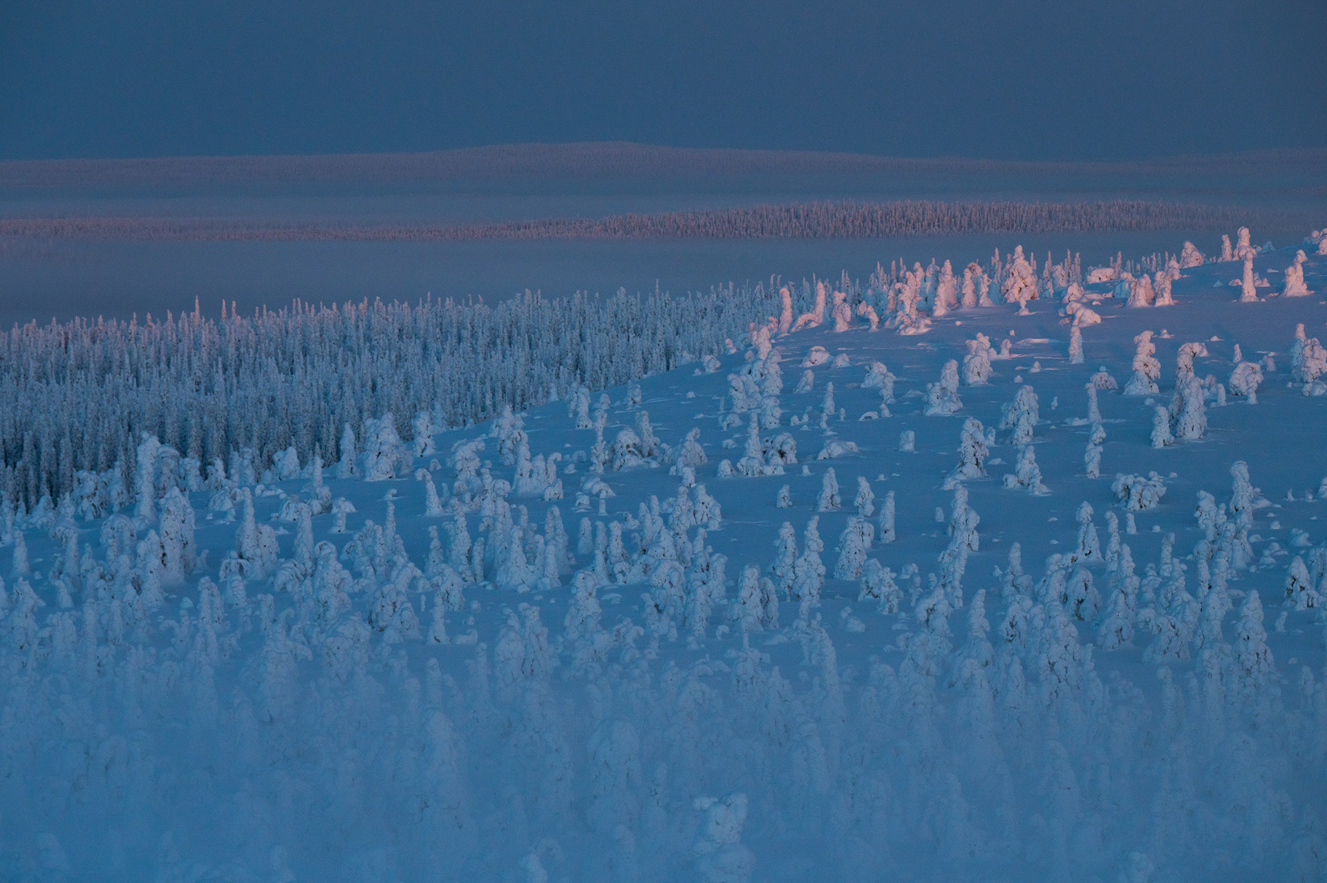 winterzon