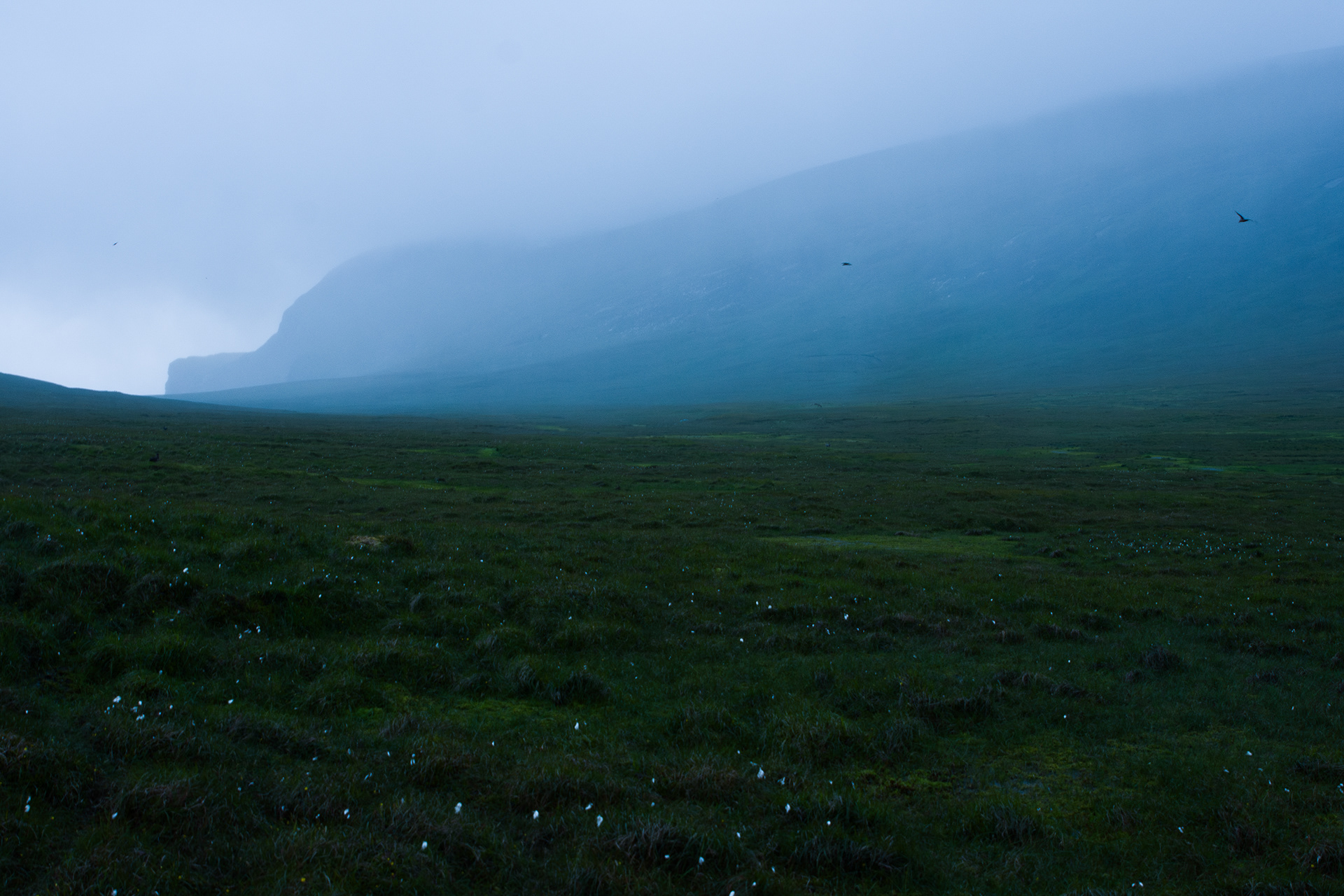 Storm op Foula