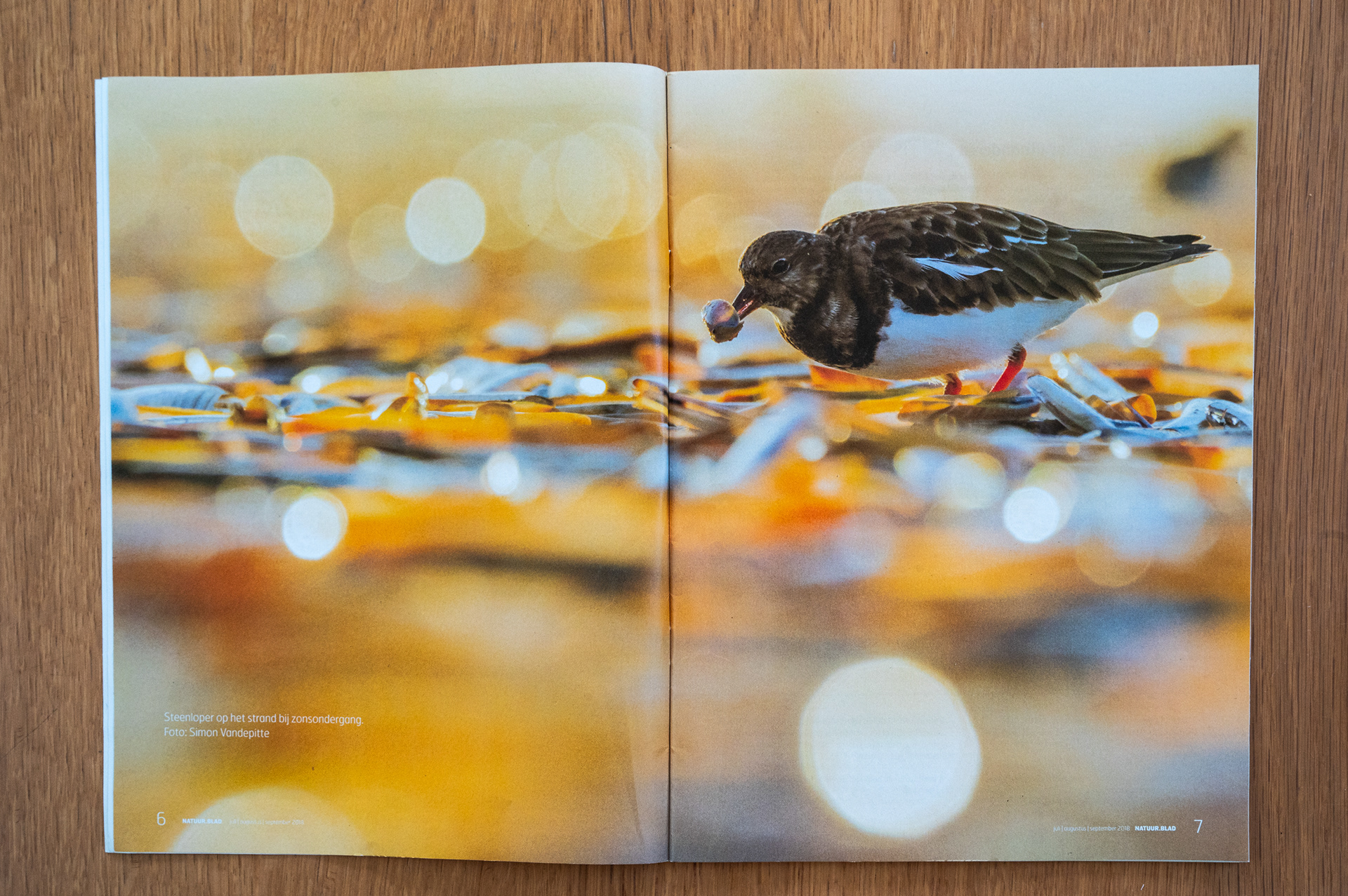 Foto van de maand Natuurpunt magazine