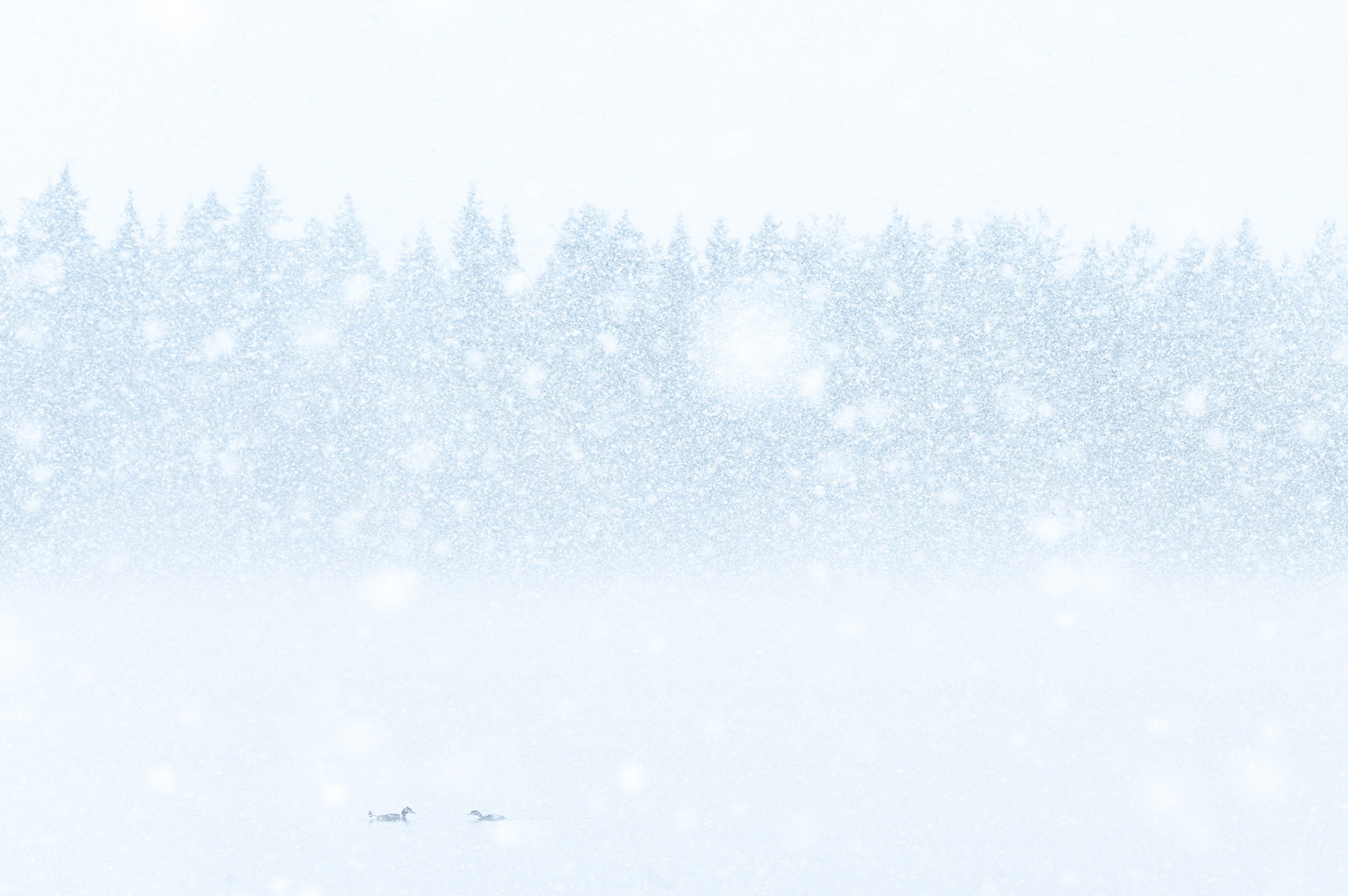 Winterliefde
