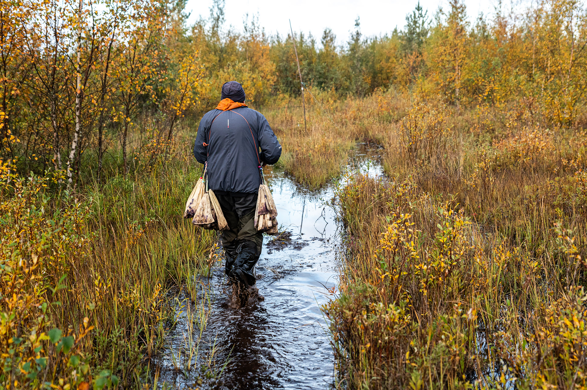 Matti Tynjälä controleert de mistnetten in Oulu - Finland