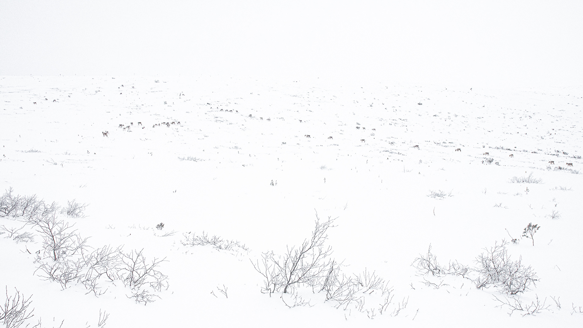 Winterlandschap III