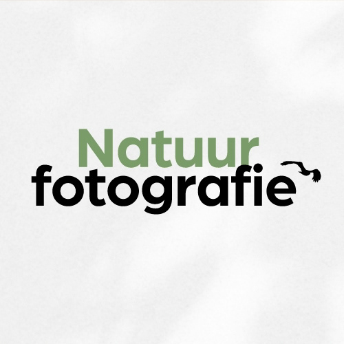 Verschillende bijdragen tot tijdschriften
