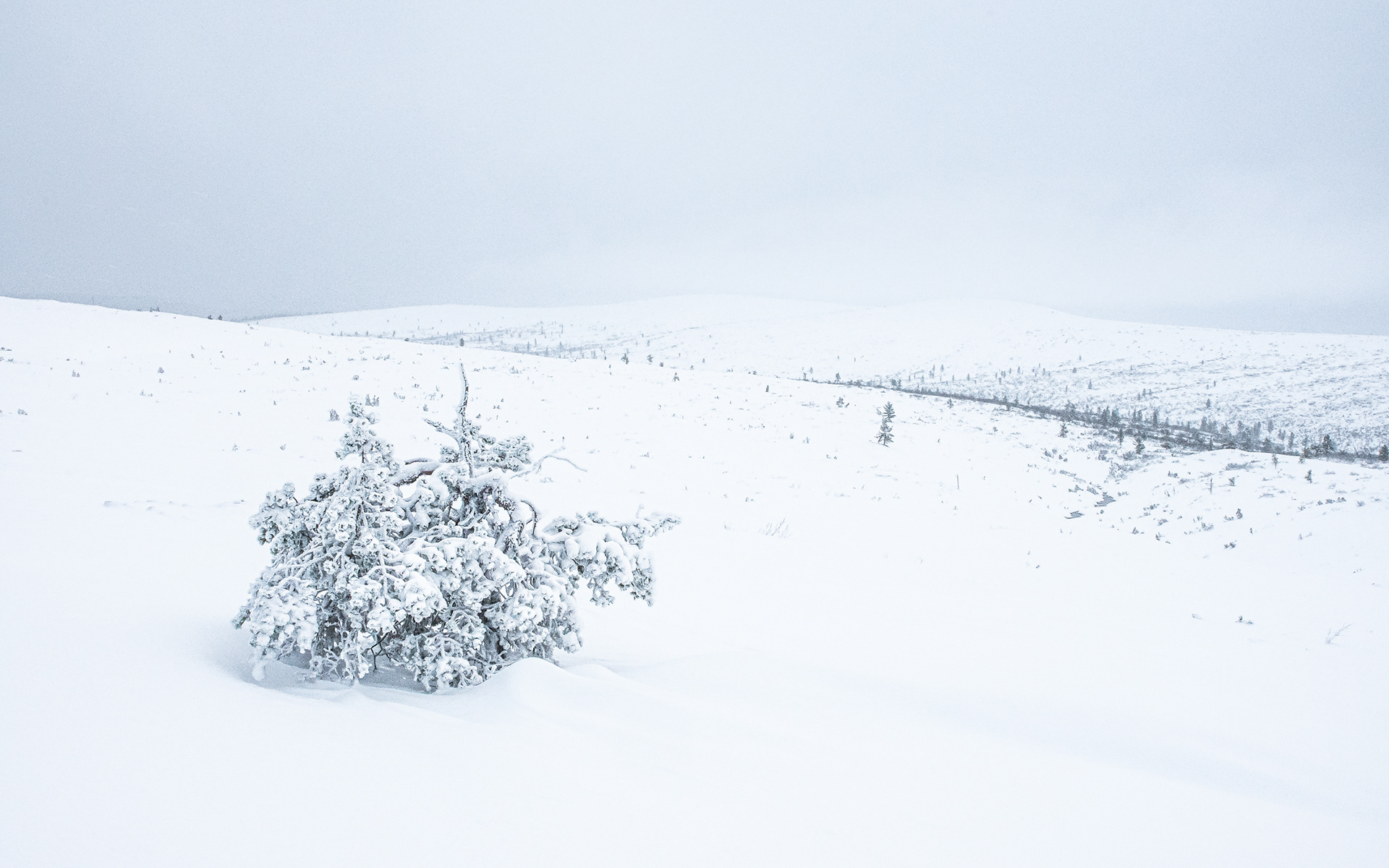 Winterlandschap I