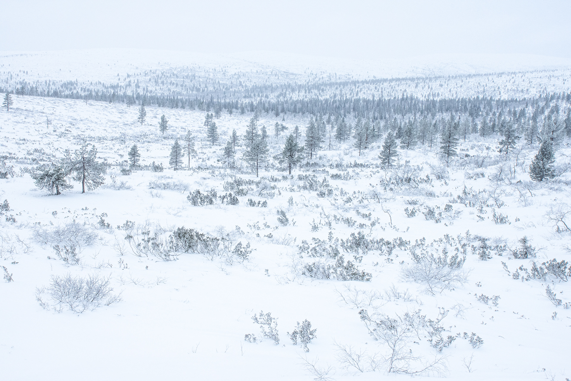 Winterlandschap II