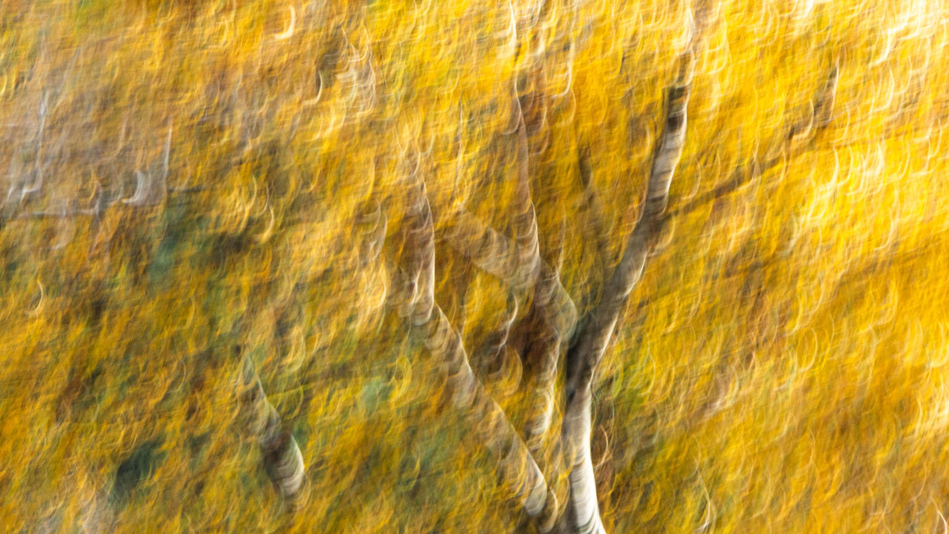 Bewogen door natuur II