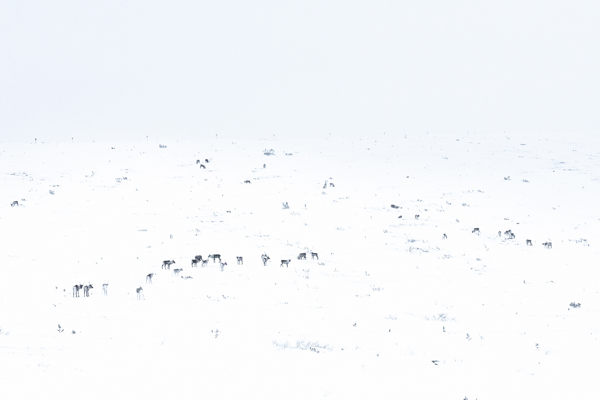 Winterlandschap IV