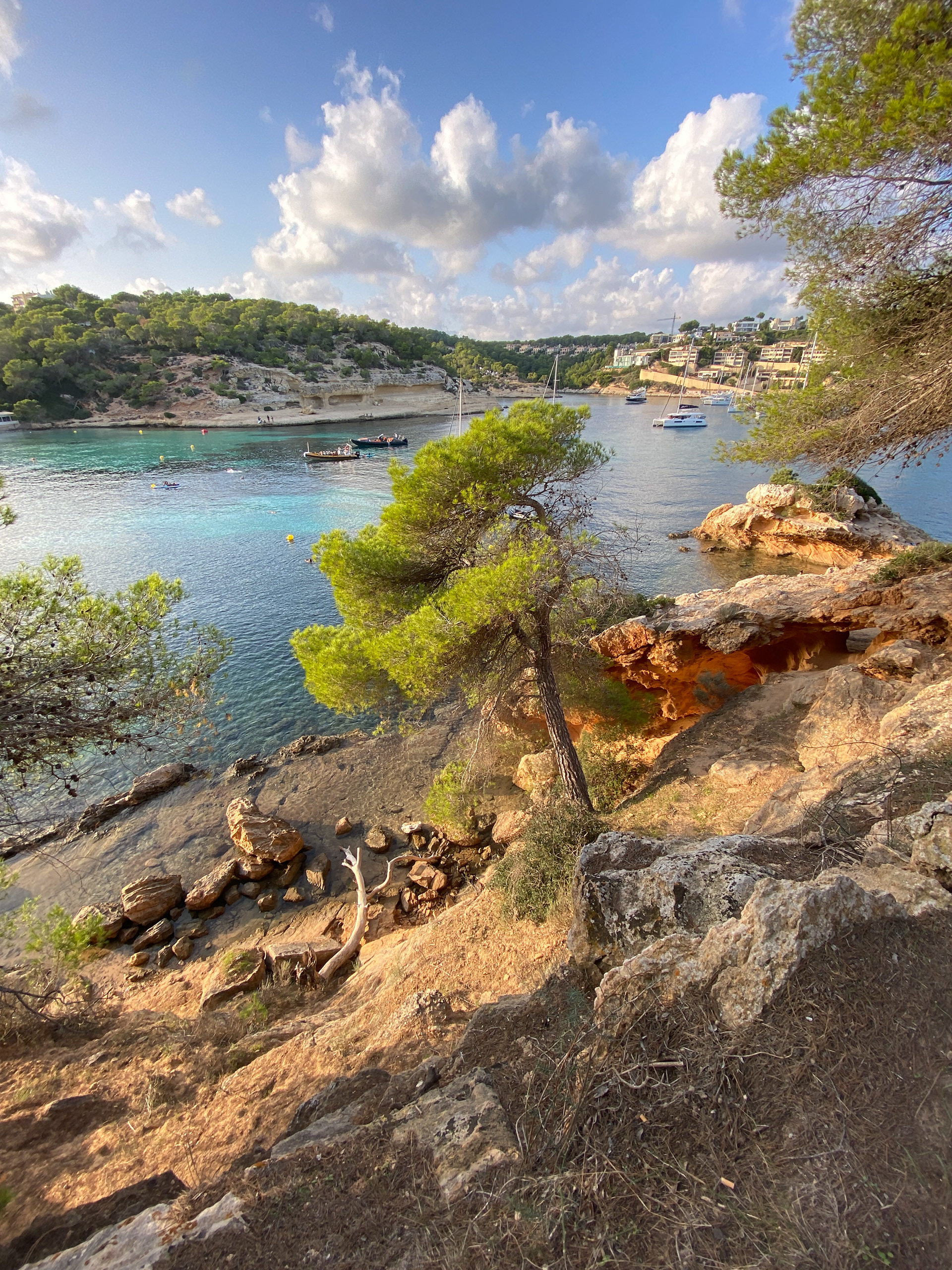 Portals Vells