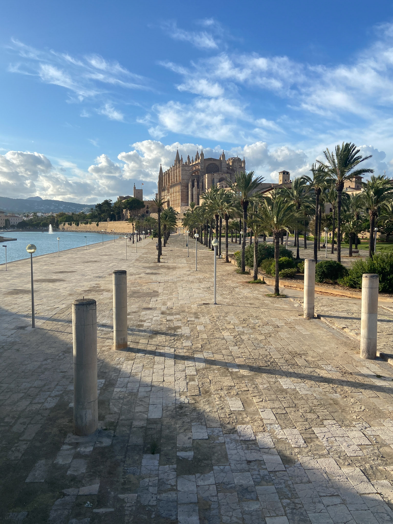 Palma