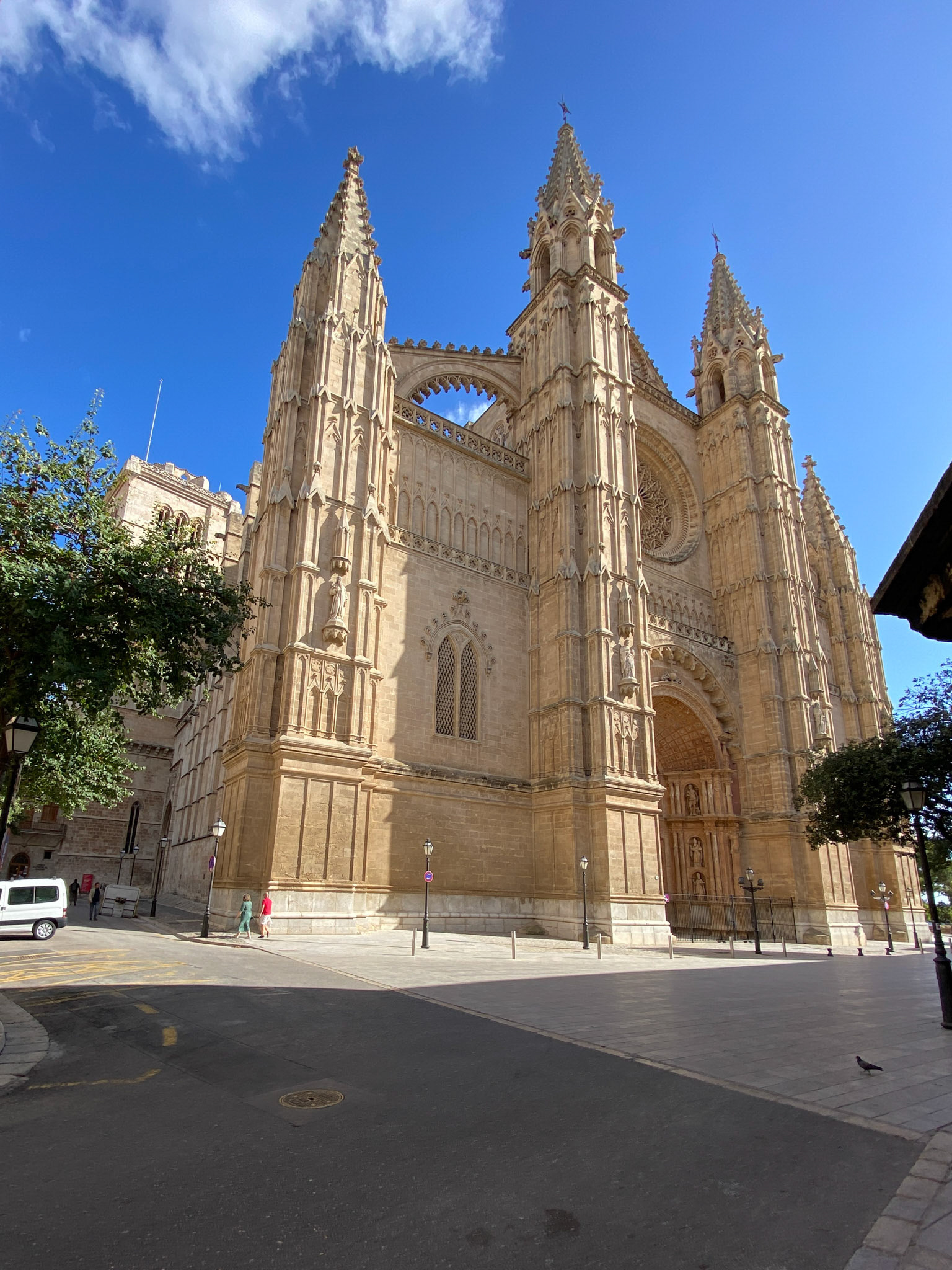 Palma