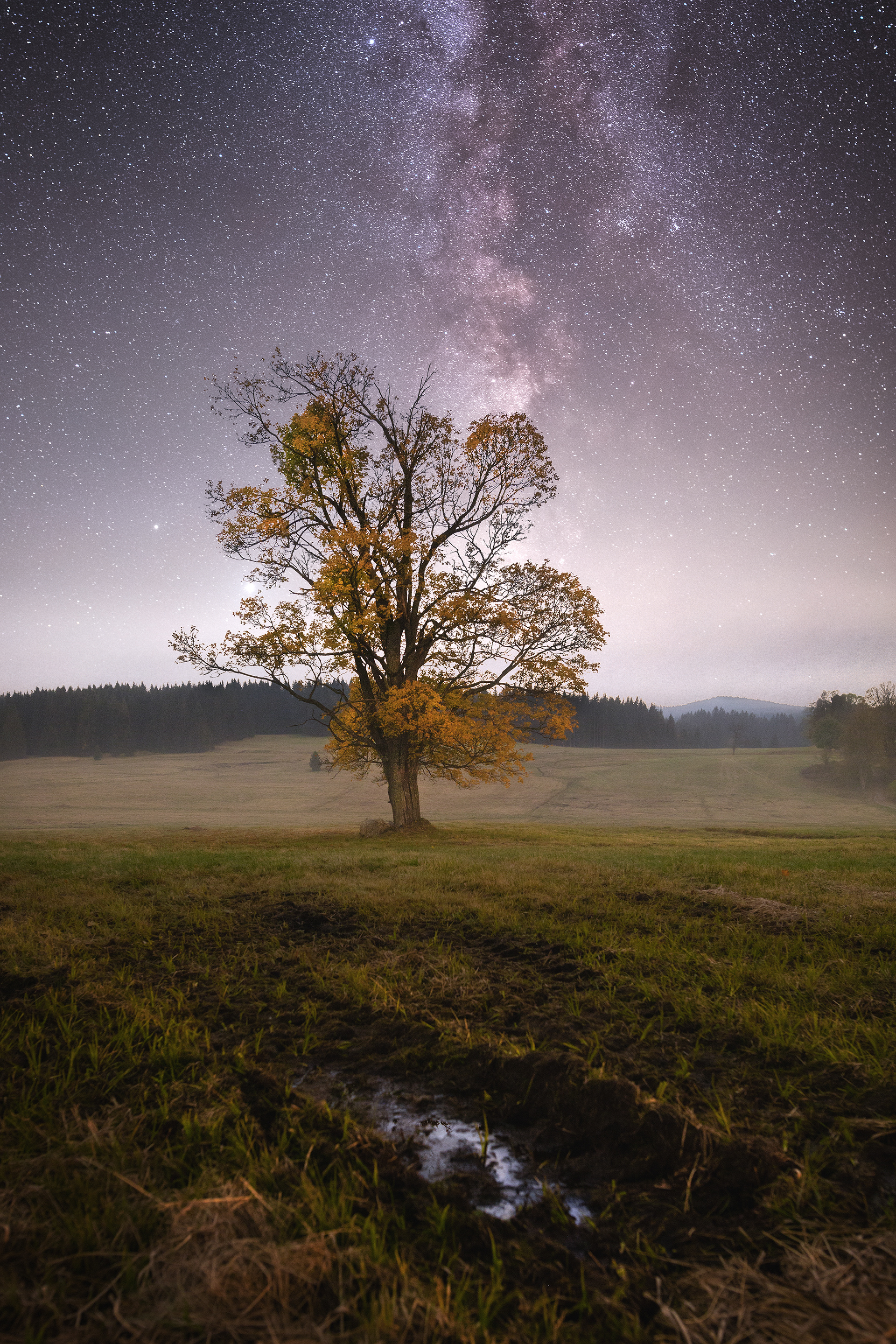 Pohoří na Šumavě