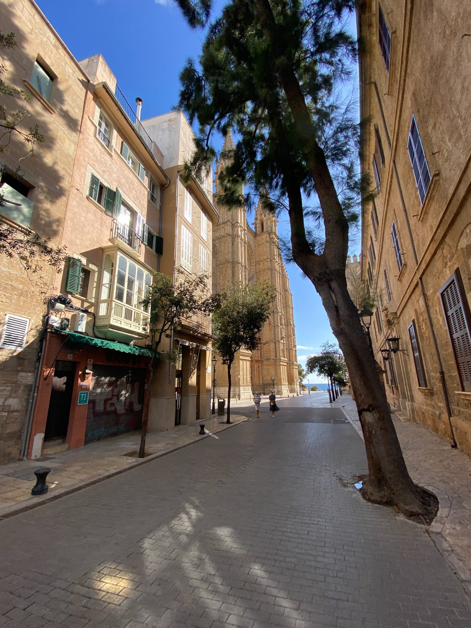 Palma