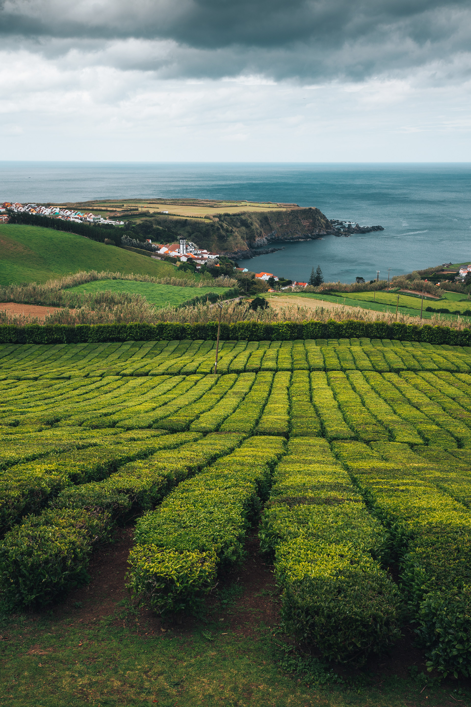 Chá Porto Formoso, PT
