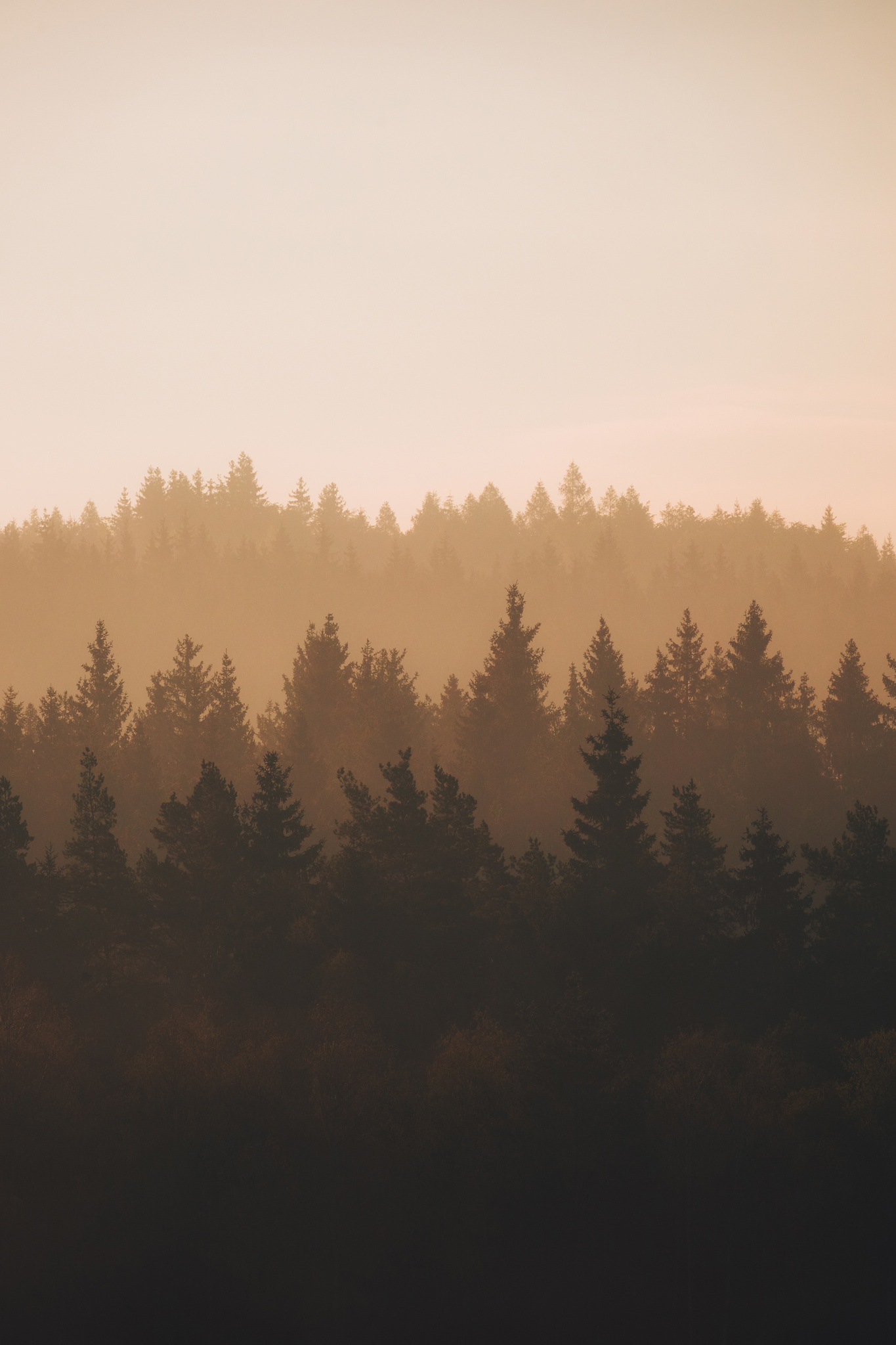 Soumarské rašeliniště