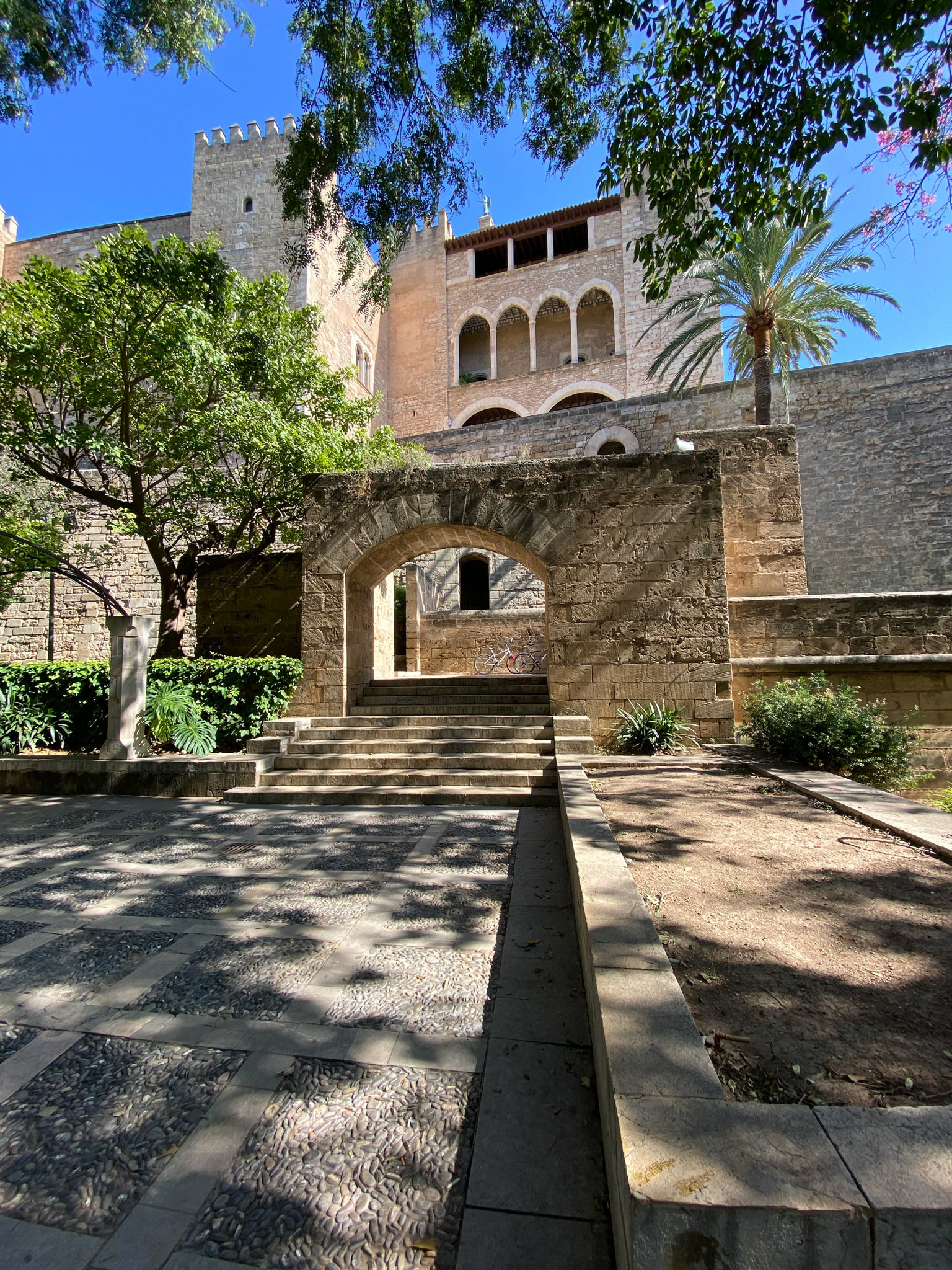 Palma