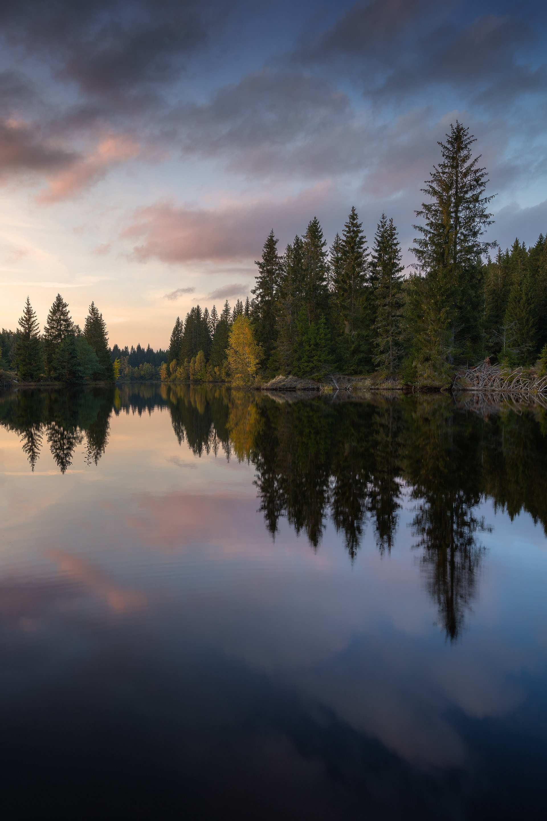 Pohoří na Šumavě