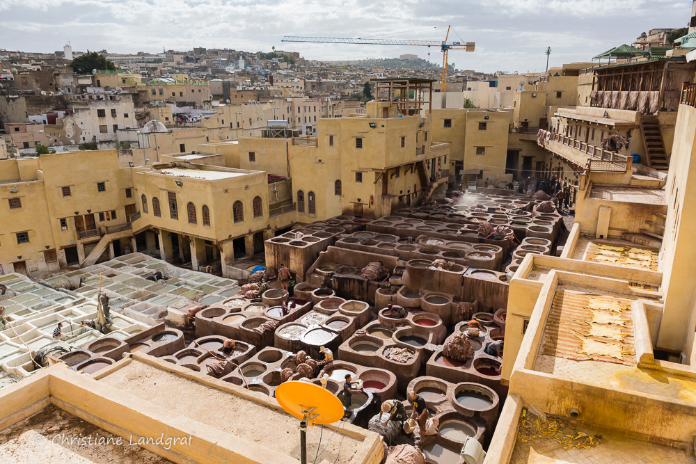 Fes - Ledergerberei