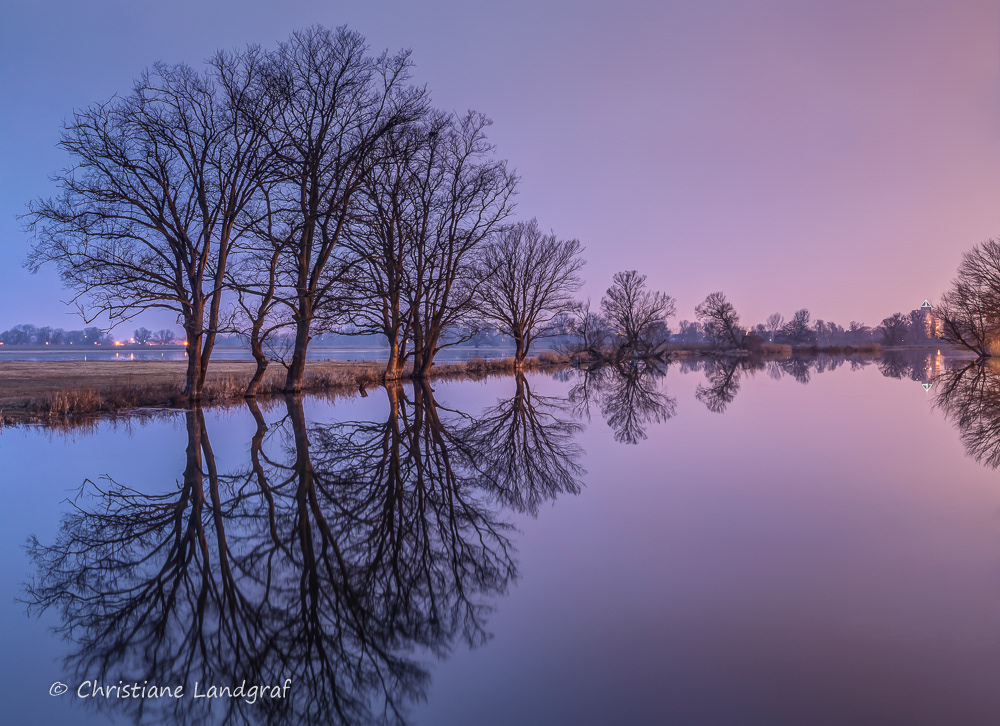 Sonnaufgang an der Oder