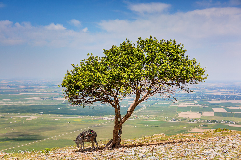 Agalyk Gebirge