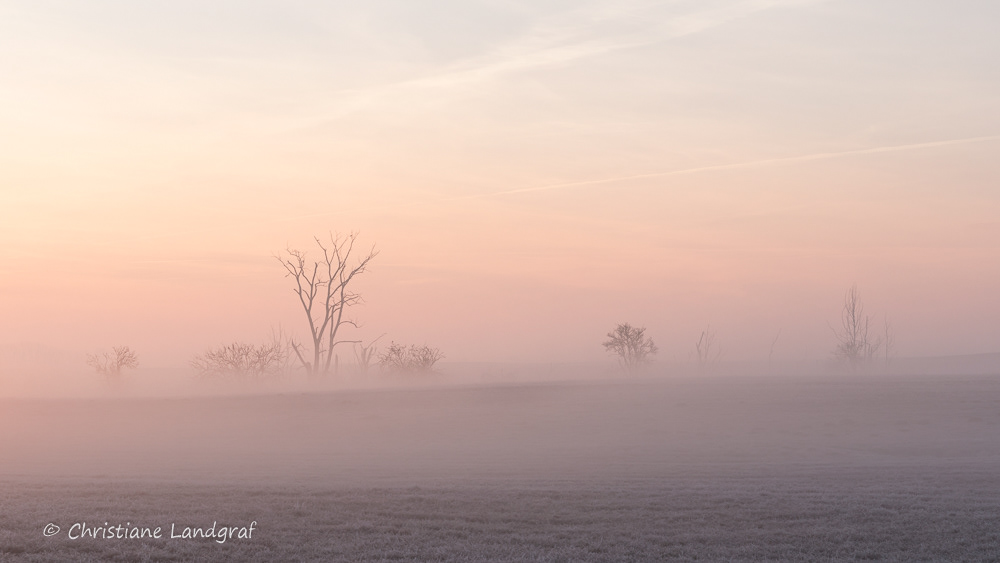 Morgens am Holzendorfer See