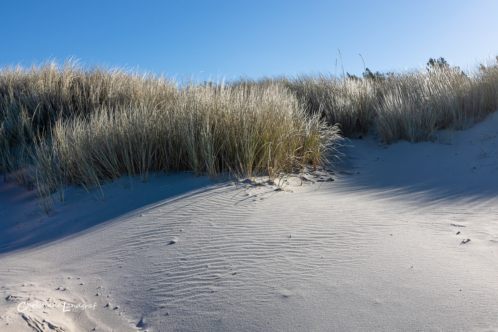 Düne bei Prerow