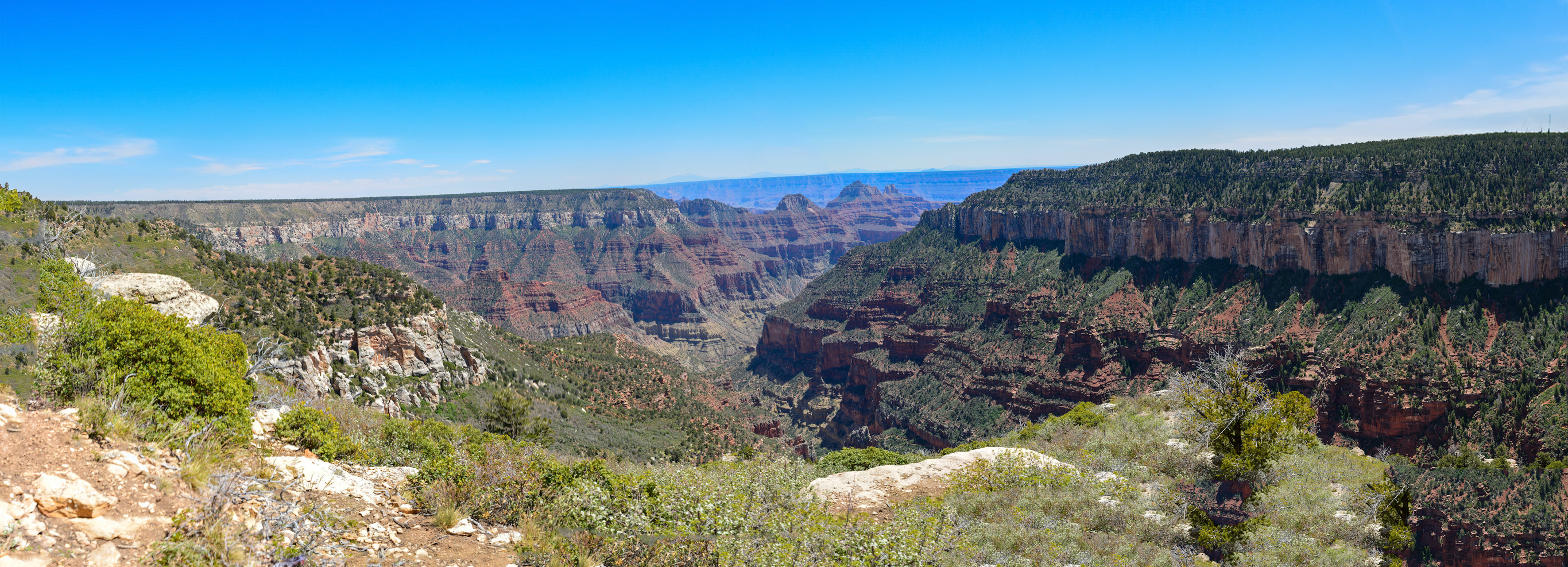 Grand Canyon National Park North Rim, Arizona, USA