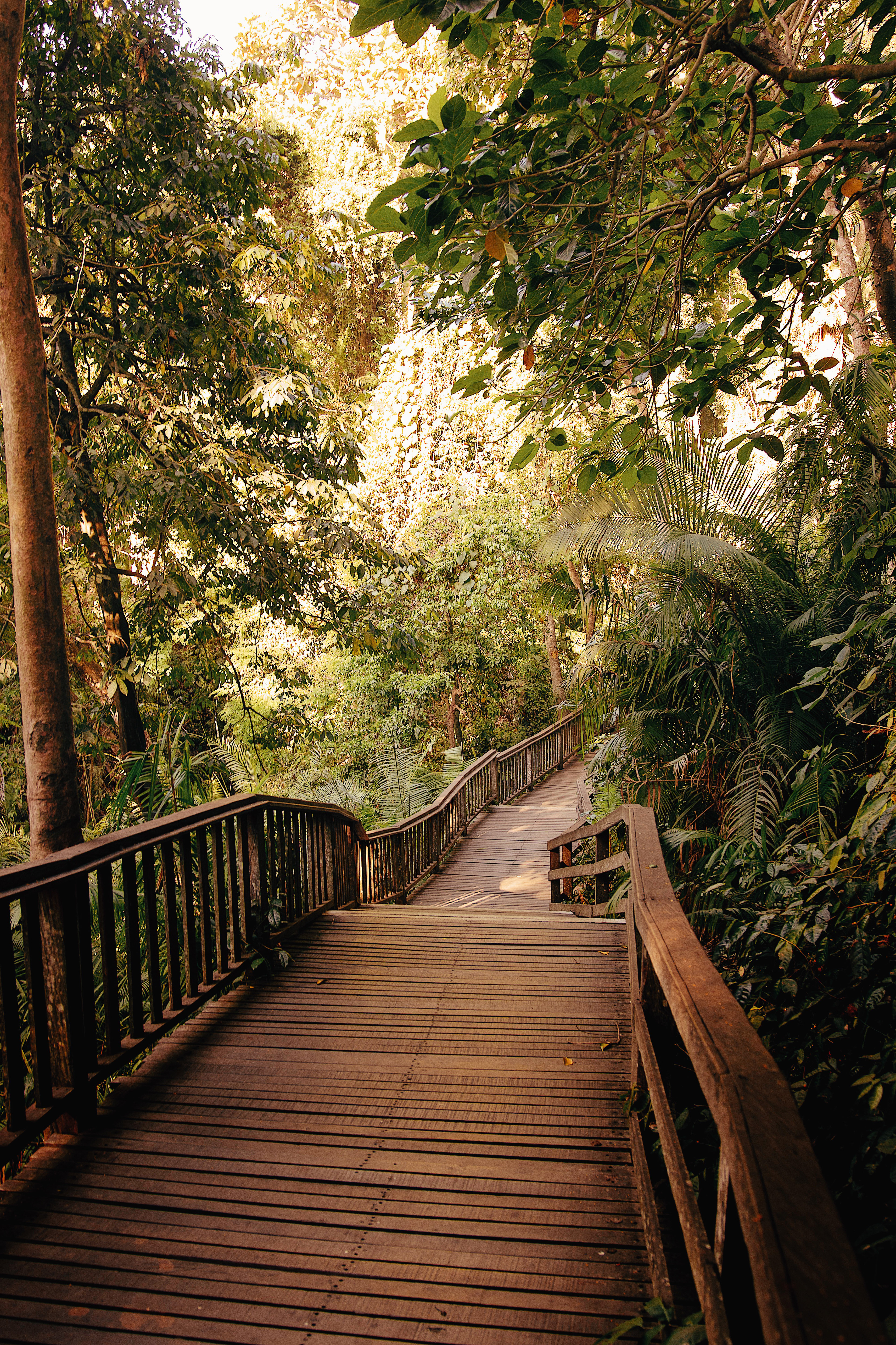 Monkey Forest, Ubud, Bali