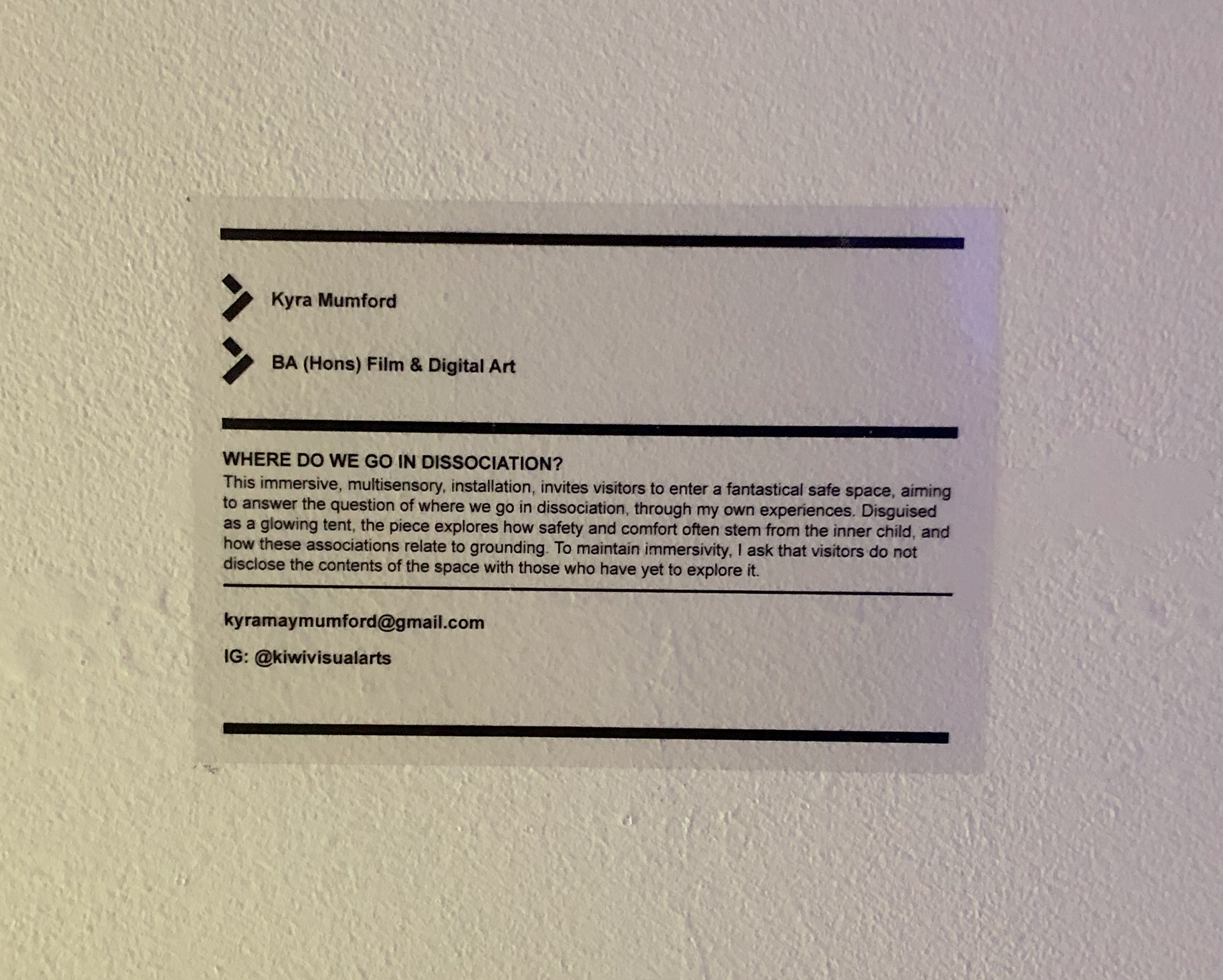 Artist statement presented alongside final piece.